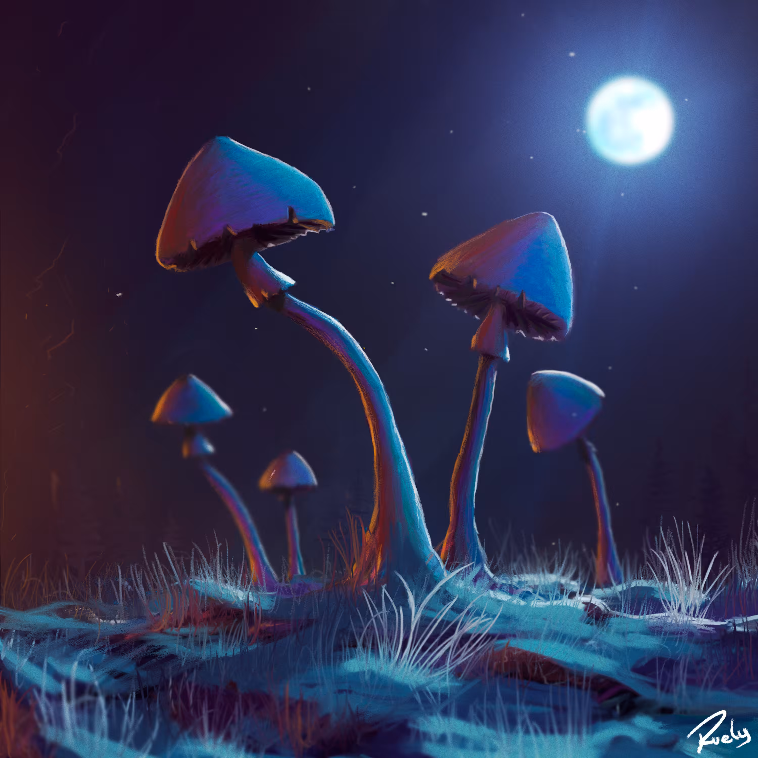 Moon Bloom