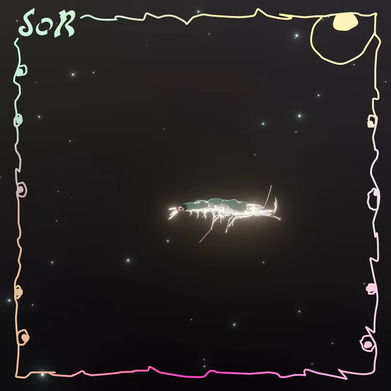Shrimp #439