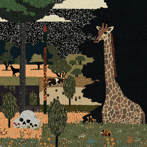 Stories of the Savannah Night