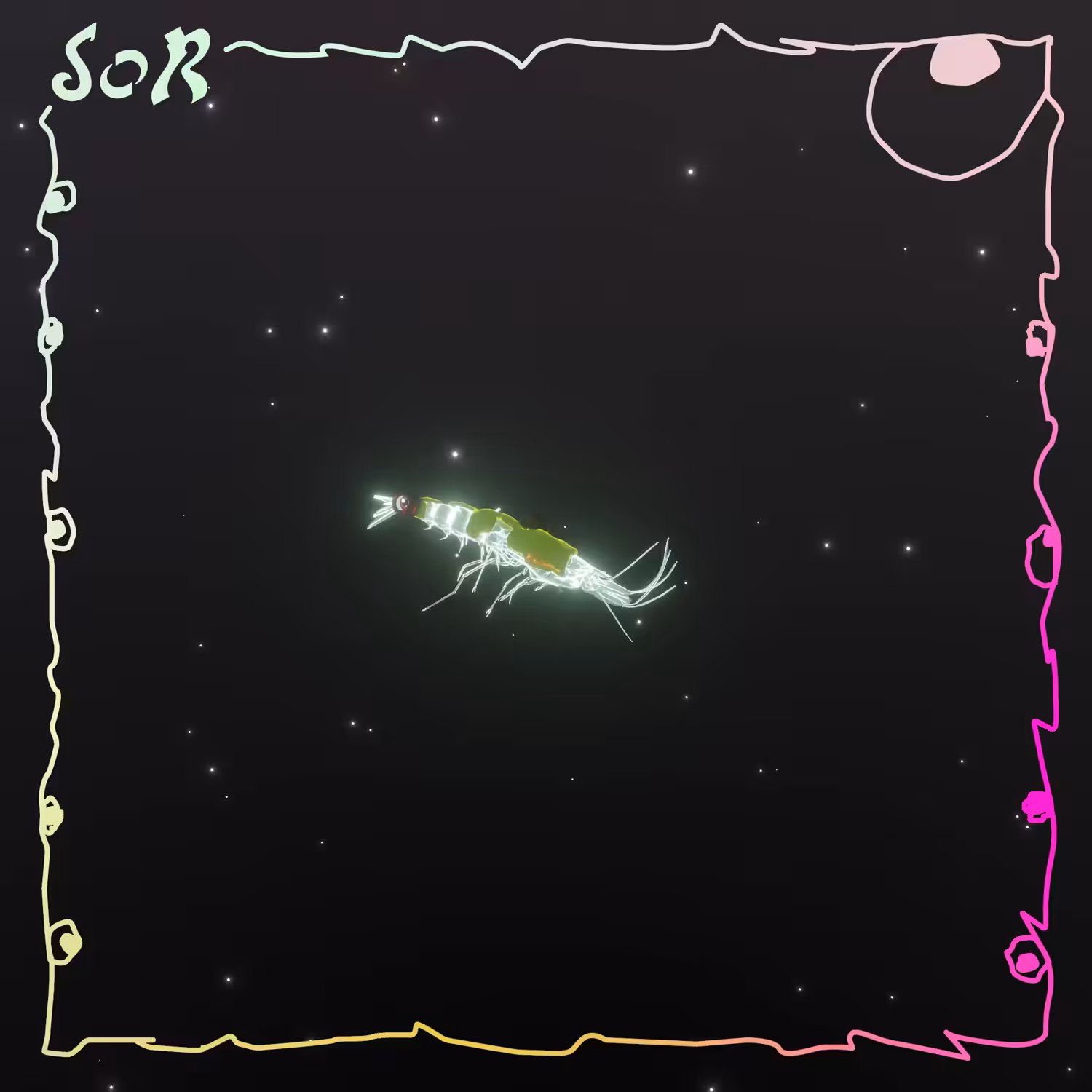 Shrimp #525