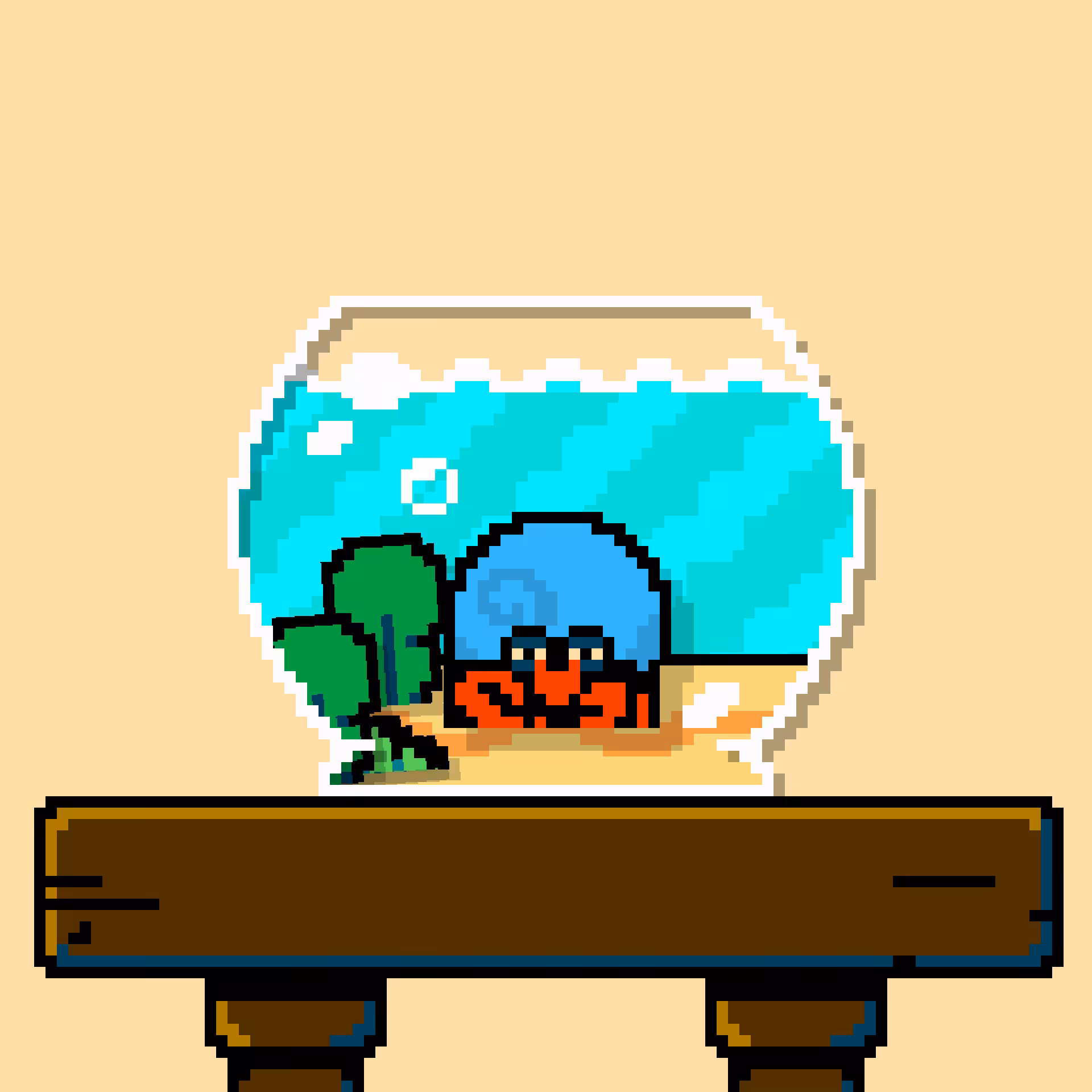 hermit crab #106