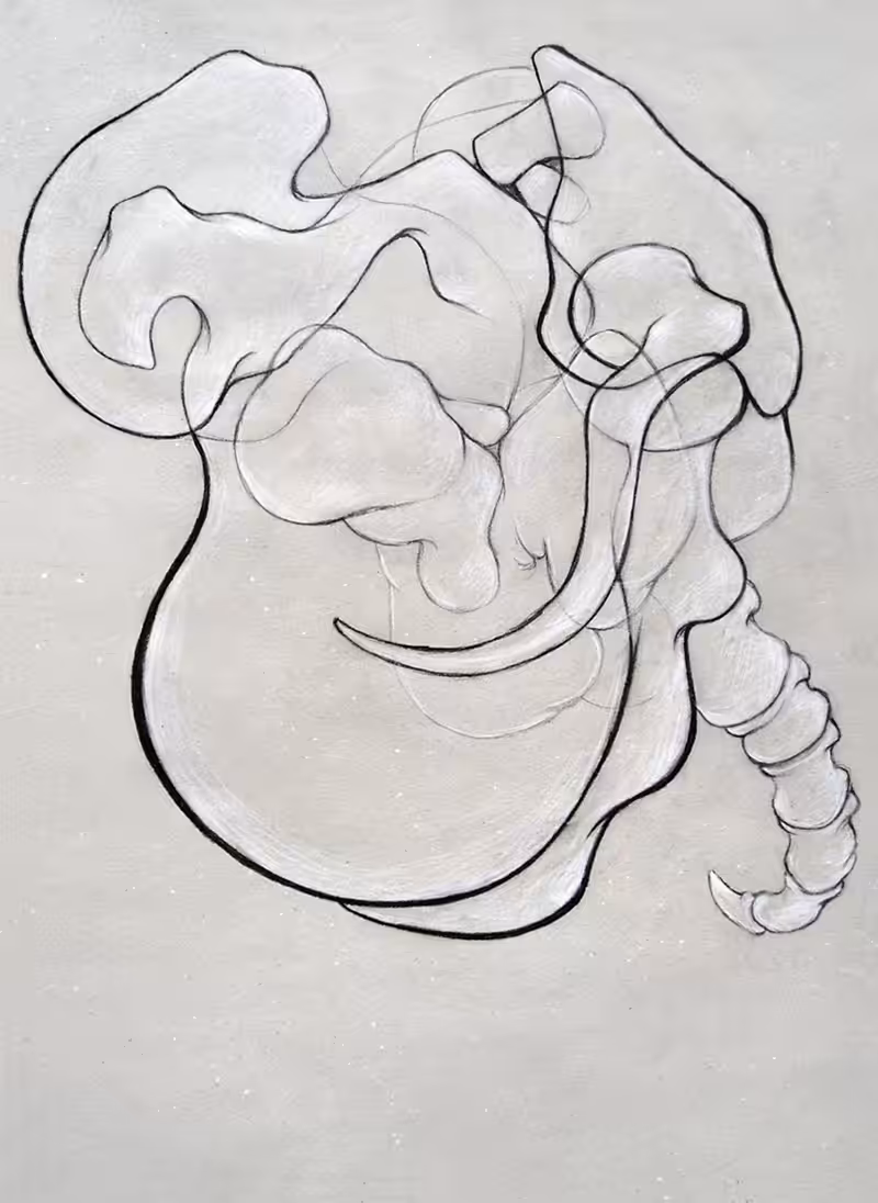 Symbiosis I