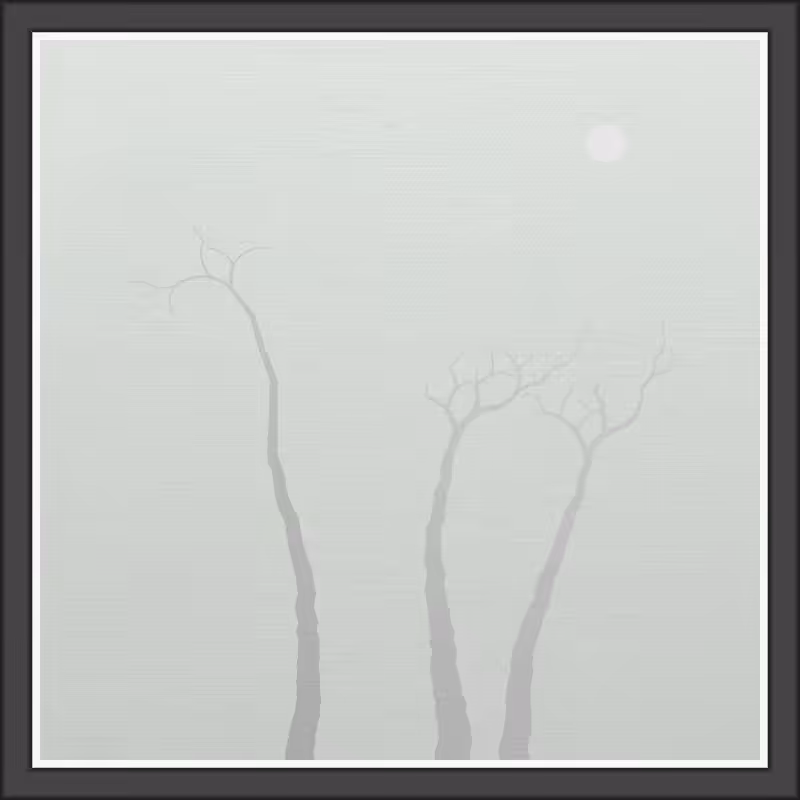 The Foggy Trees #134