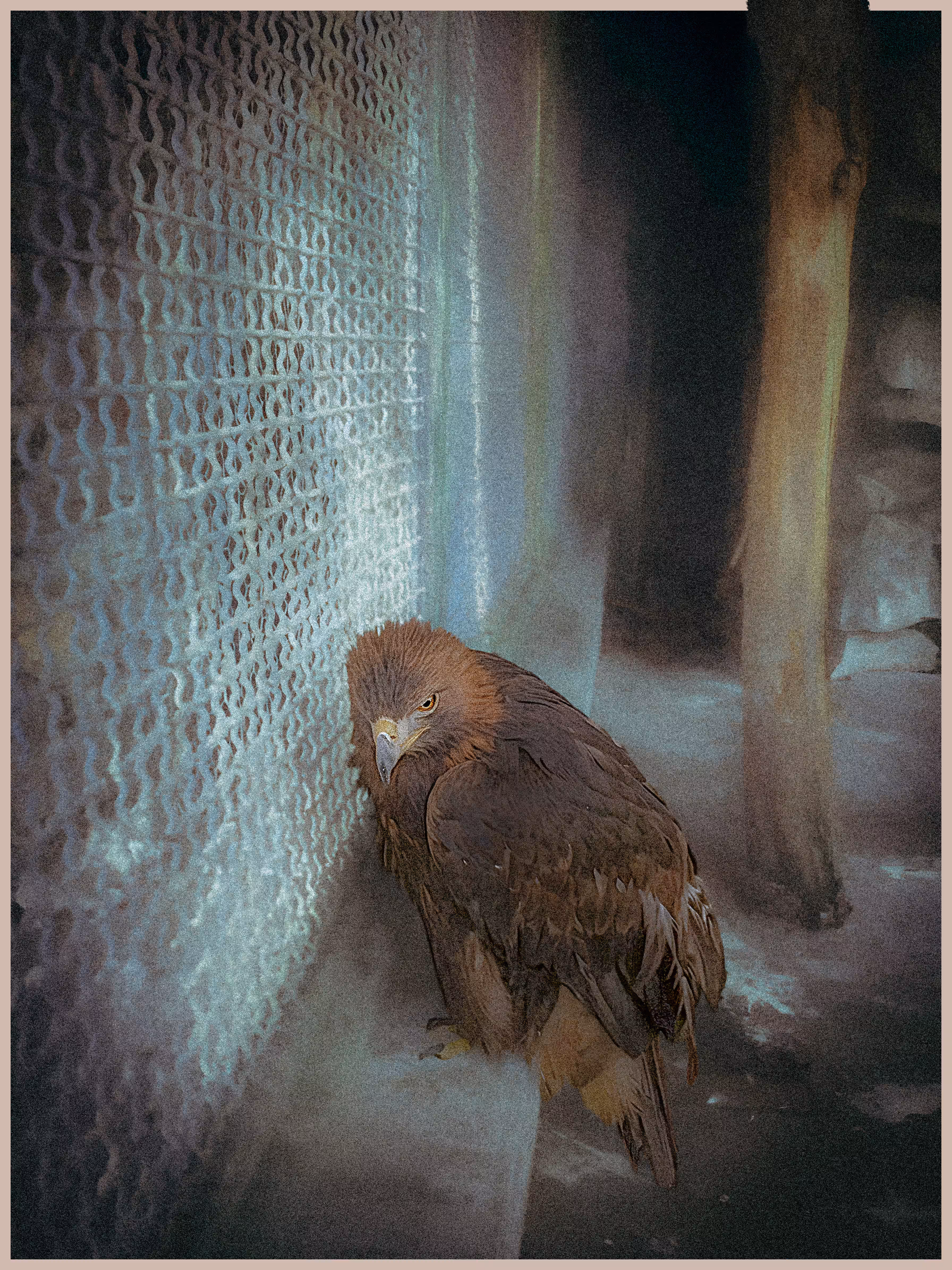 AliveS: The Cage Cannot Kill the Flight