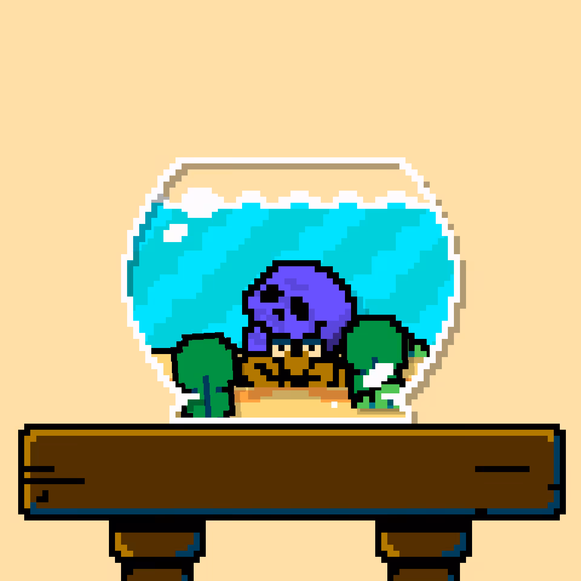 hermit crab #18