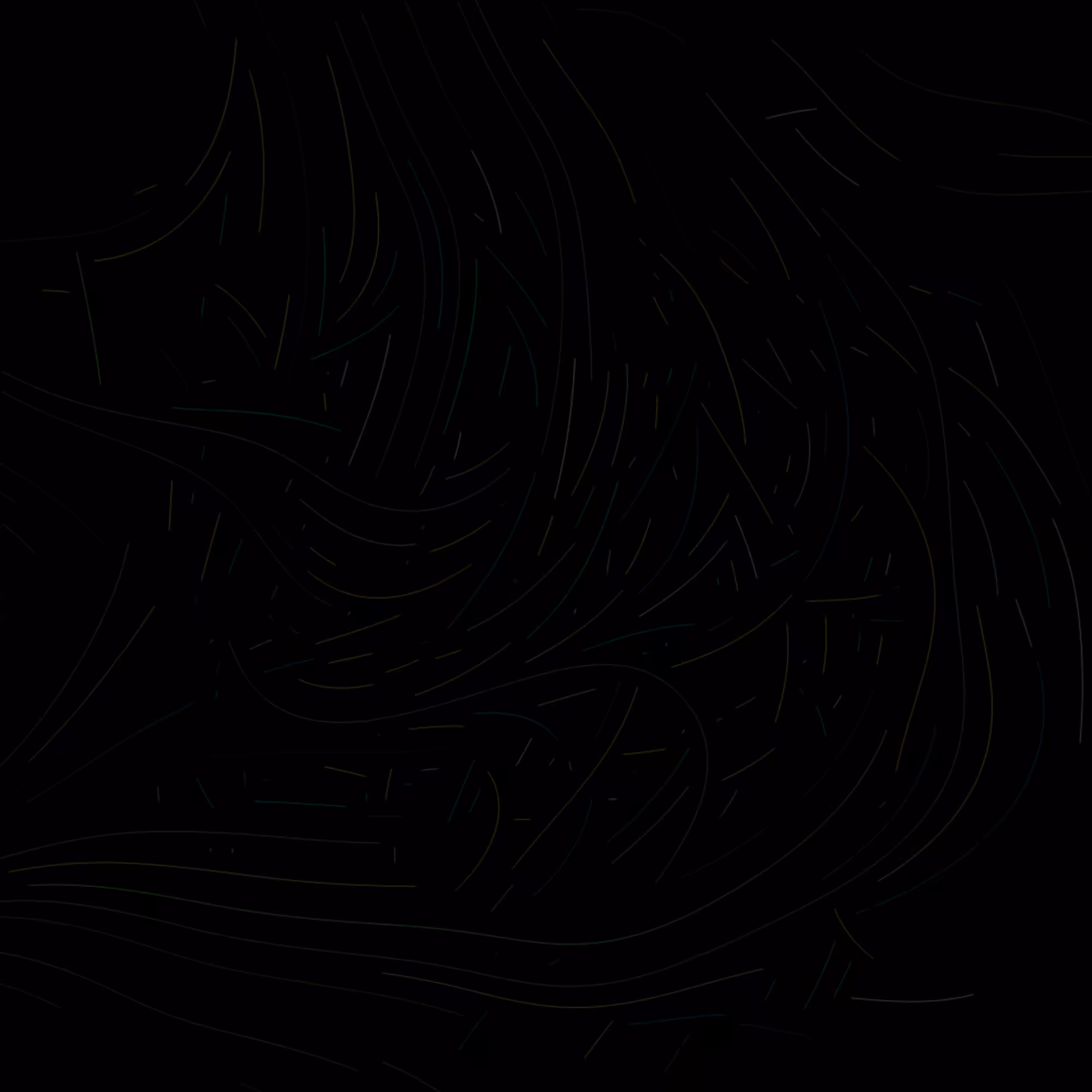 Encounters #11