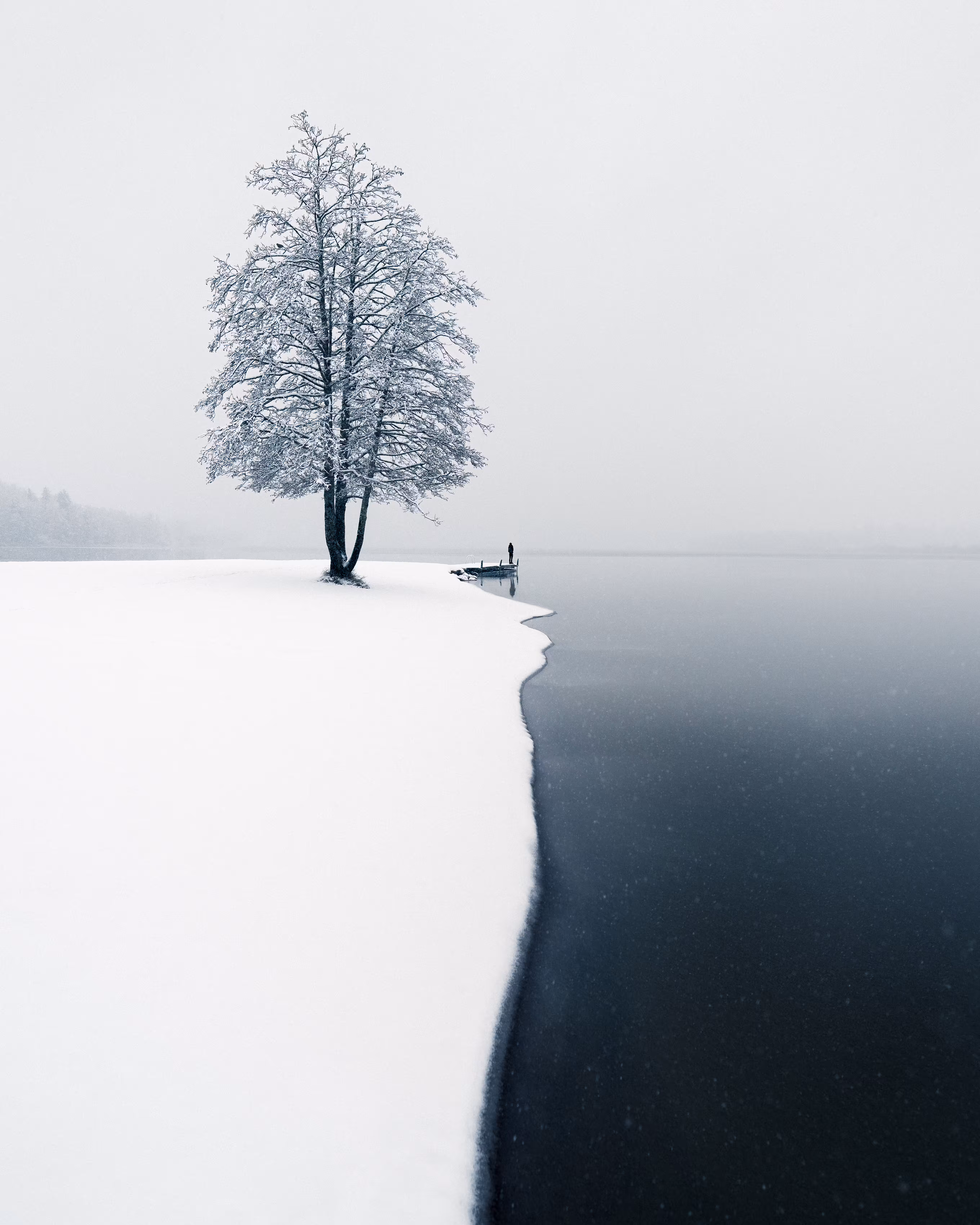 First Snow
