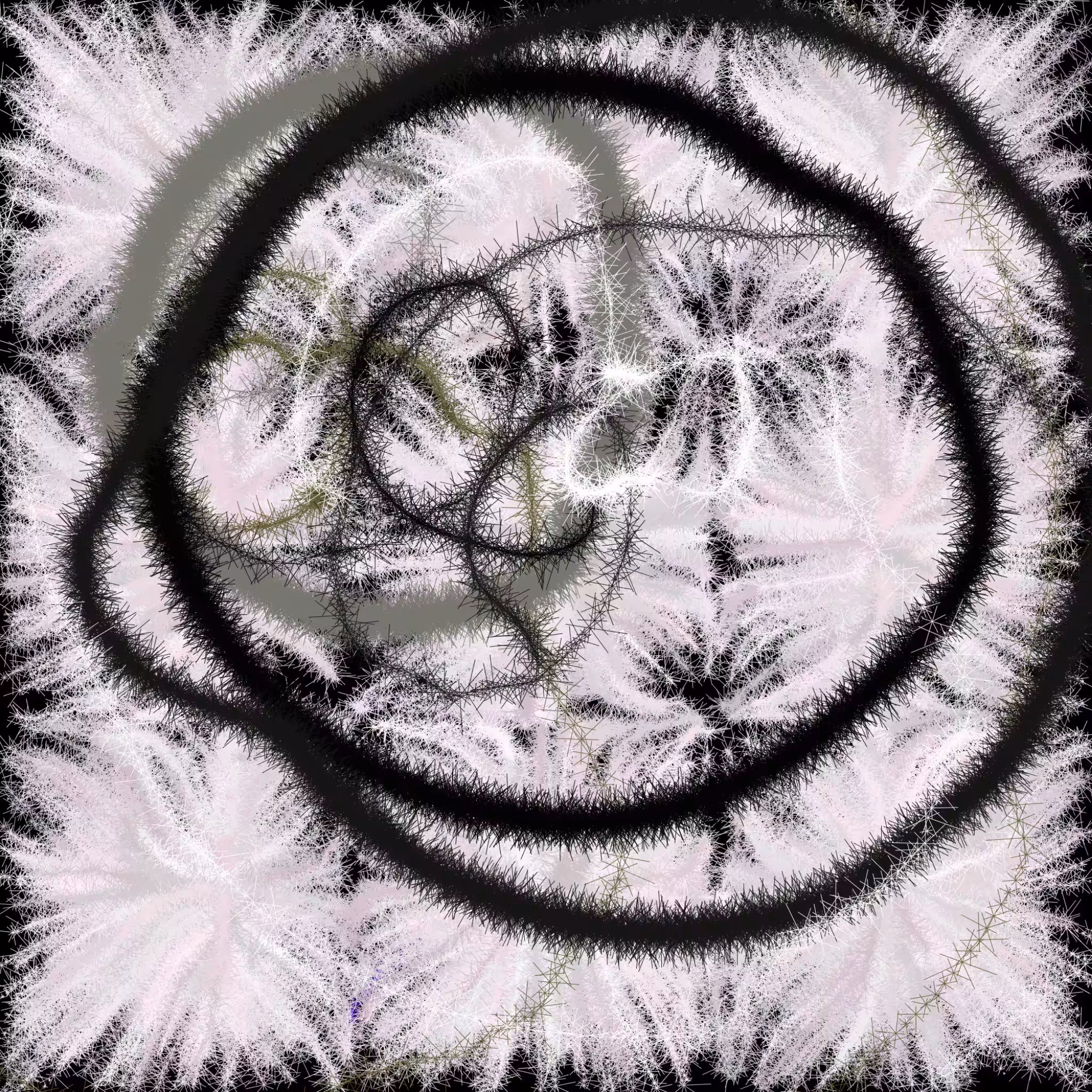 H#4Y#M #24