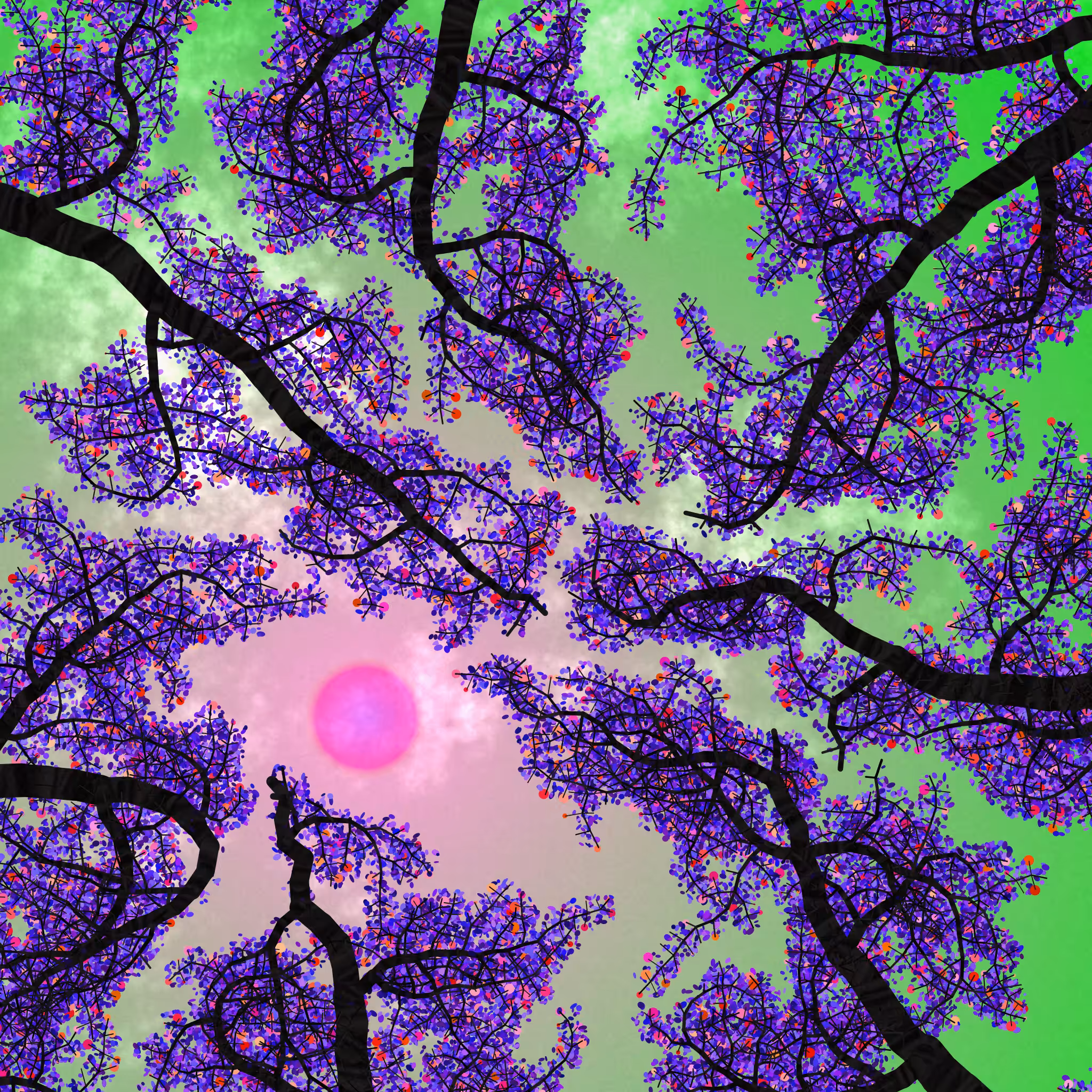 Tree Skyness #55
