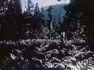 Song A Day: Oh No Where We Gonna Go?