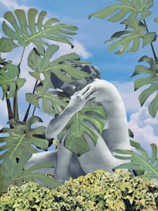 Plant Life