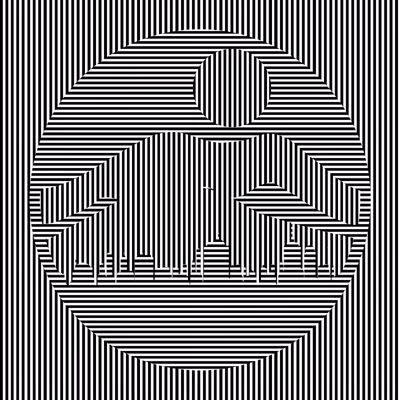 illusion #1