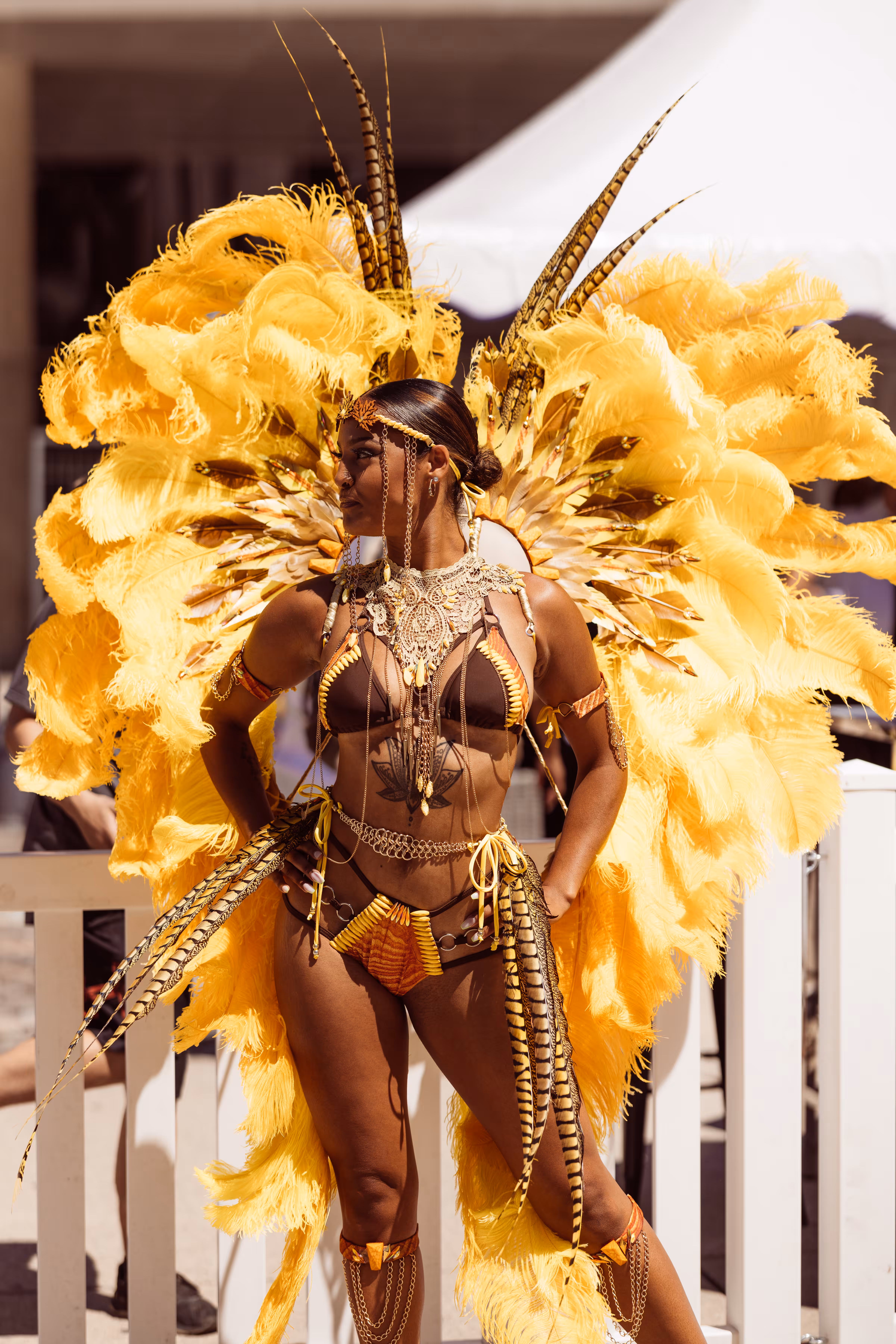 Caribana - 431