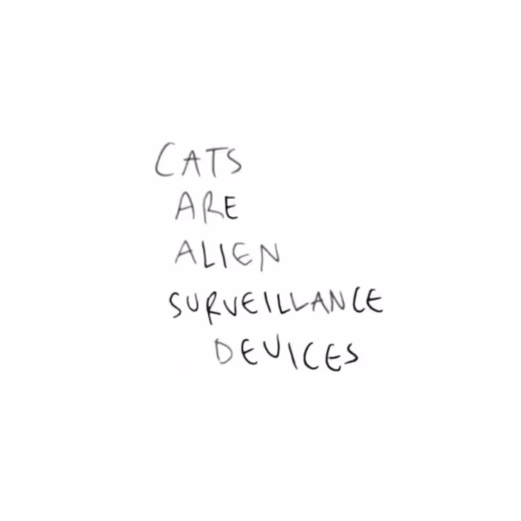 Cats are Alien Surveillance Devices