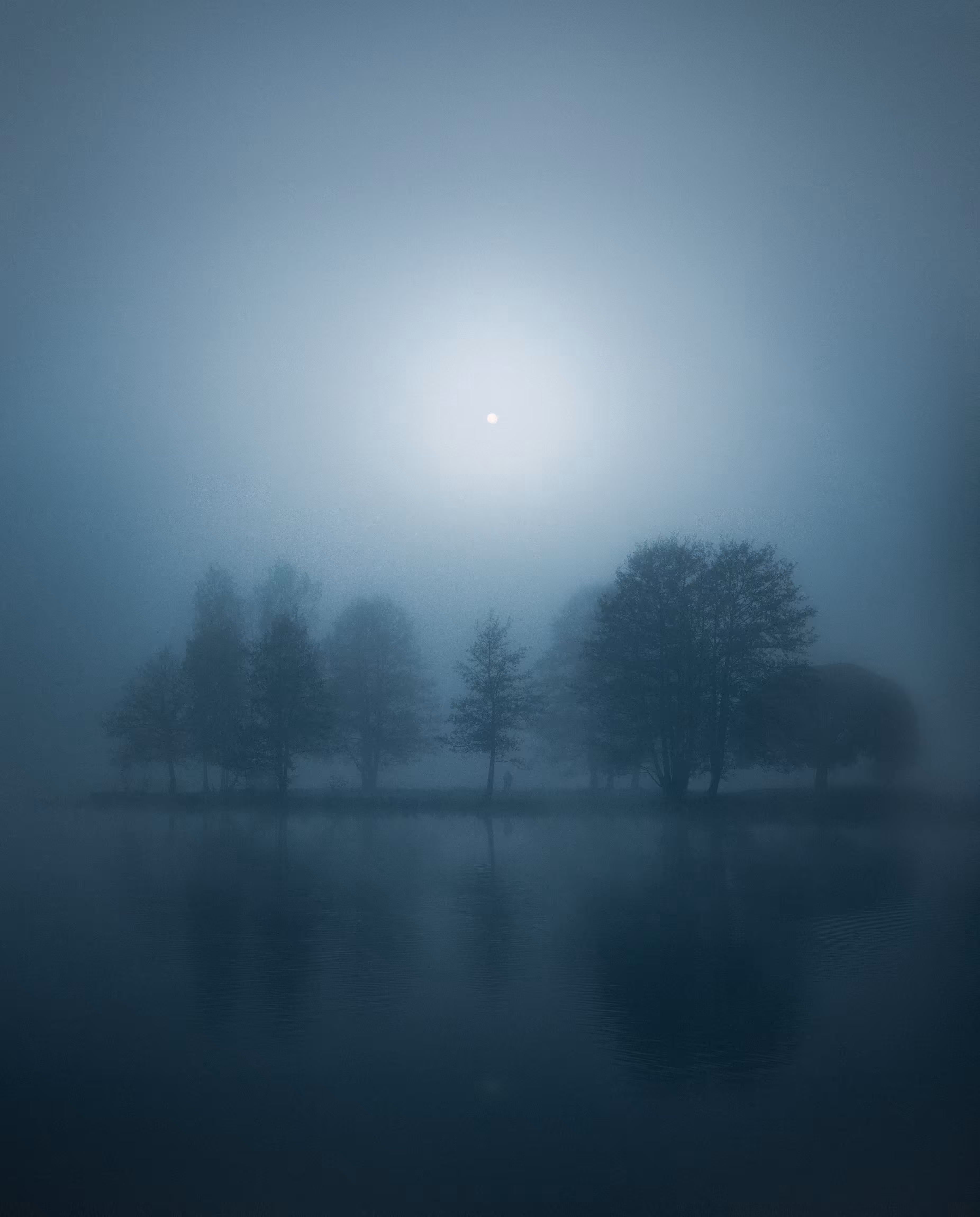 In The Solitude: Silence