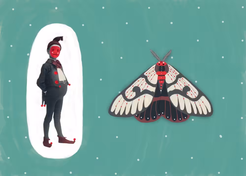 CHRISTMAS MOTH 2020