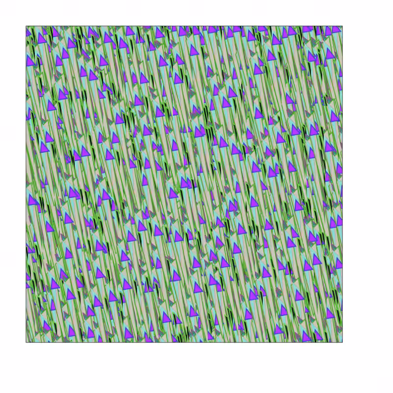 Wild Matrix #448