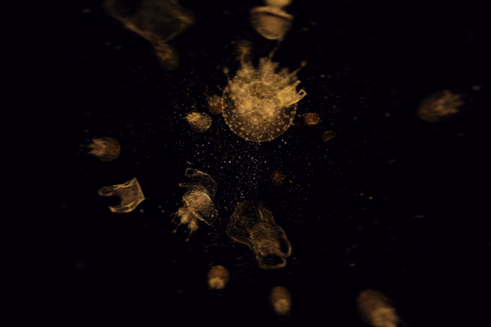 Turtle Vision #109