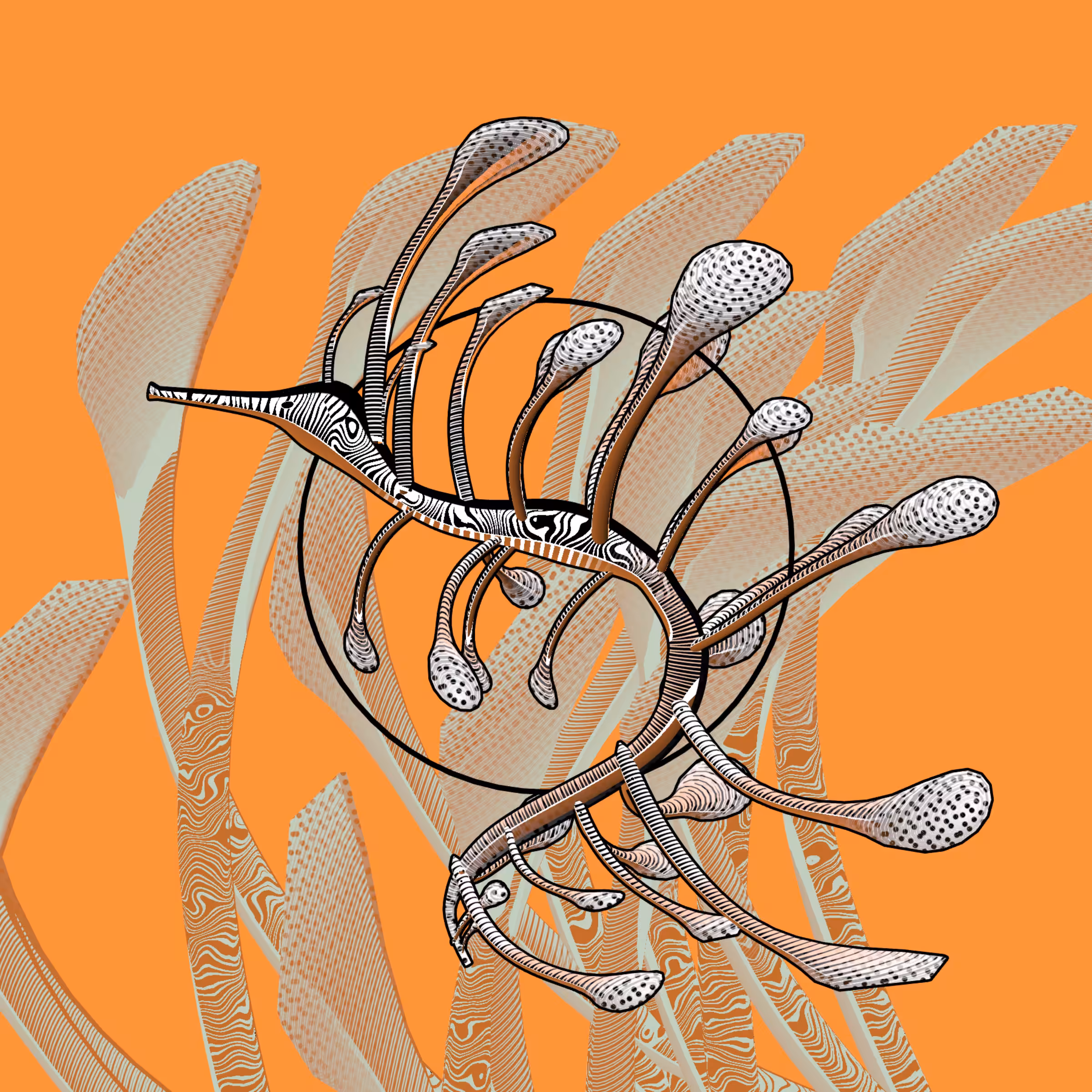 Seadragons #579