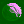 paschal moon
