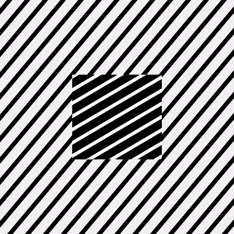 Chromatic dazzle #13