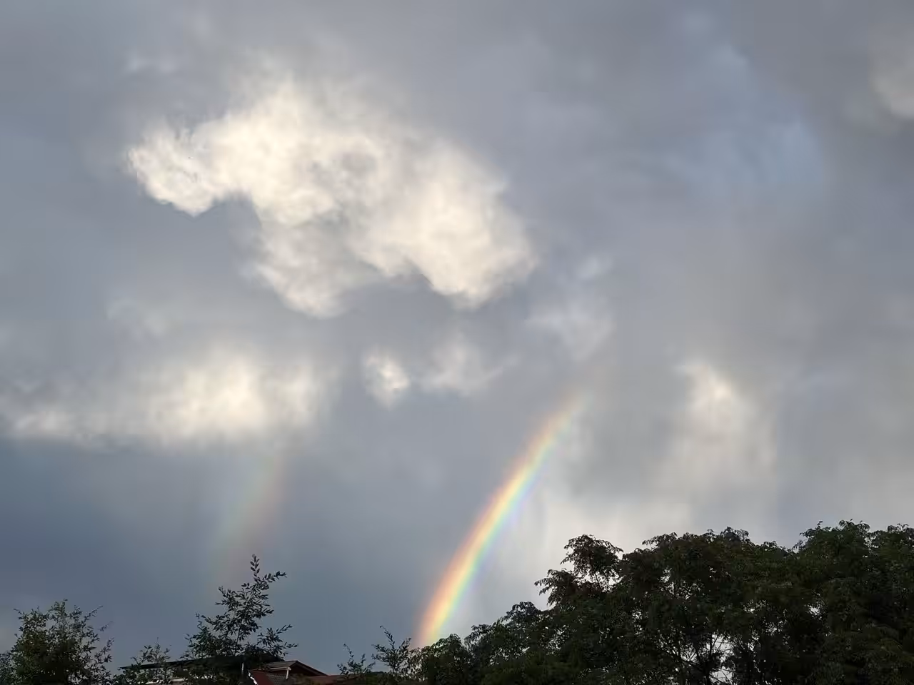 Rainbow