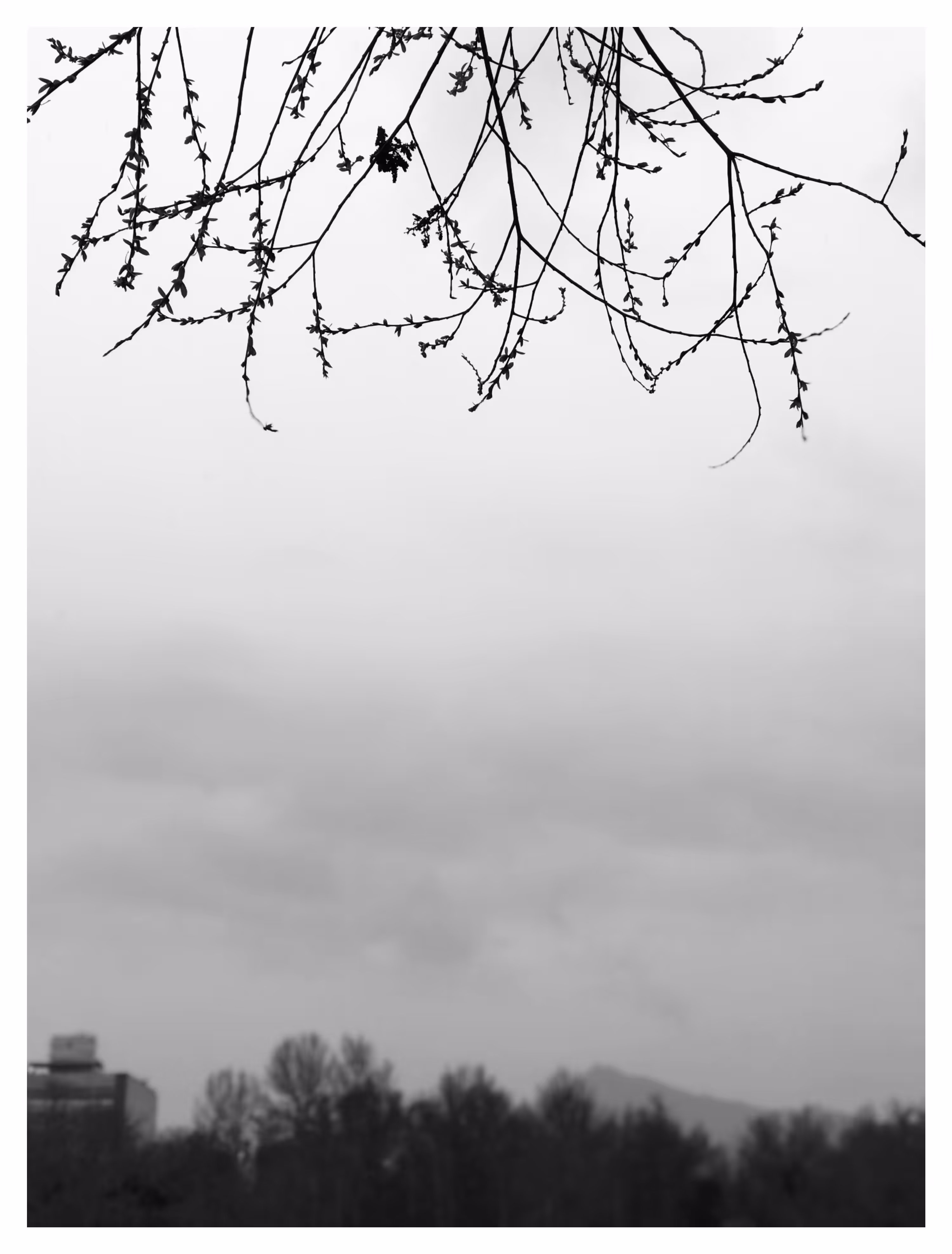 Cloudy