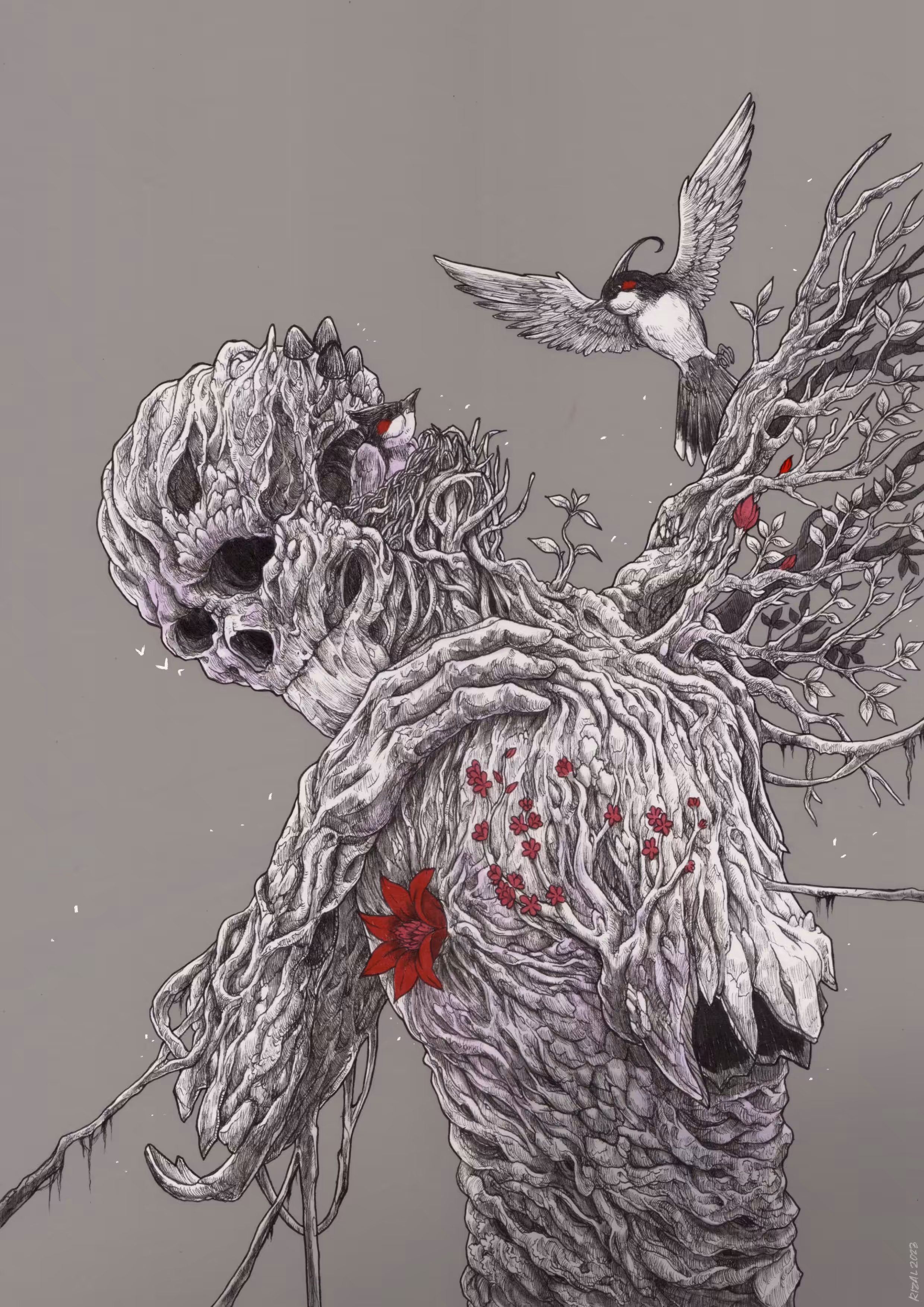 Wings
