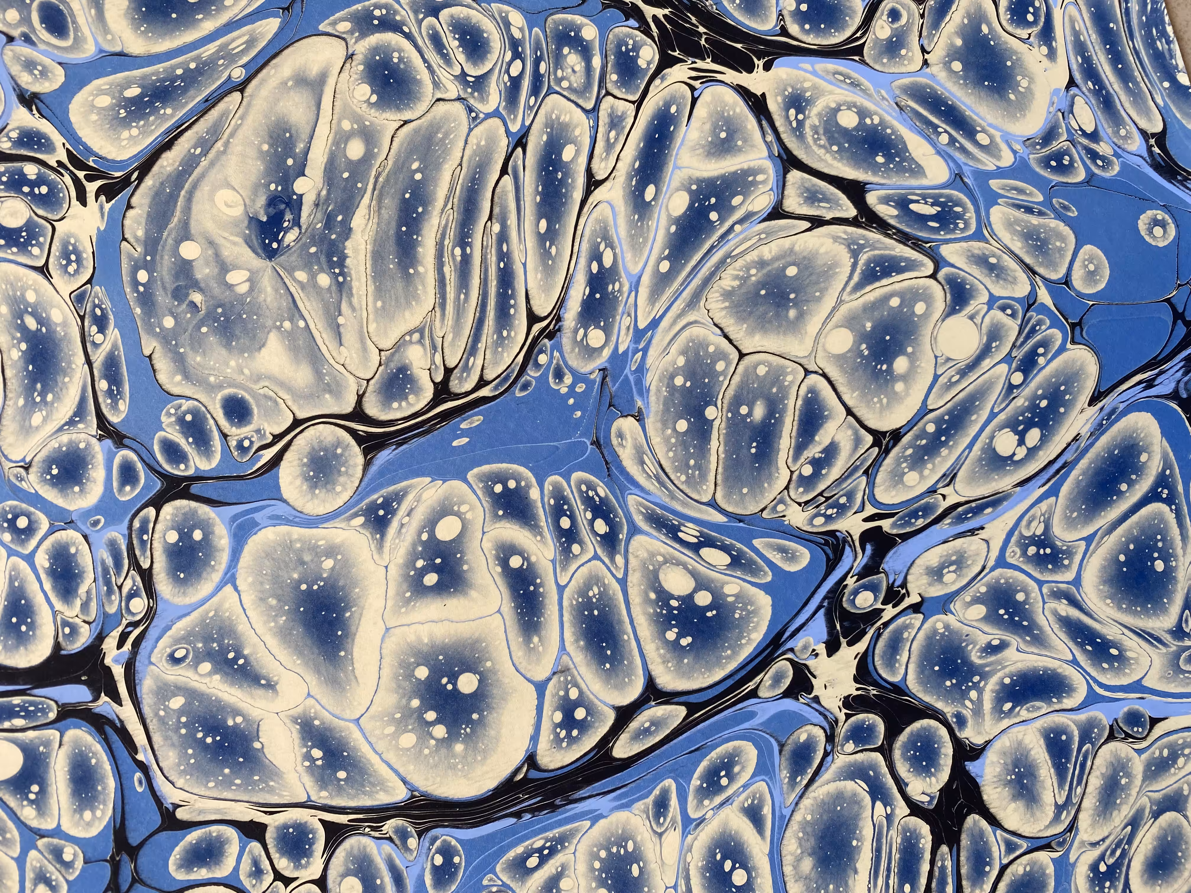 Battal Ebrû / Marbling Art SE #11