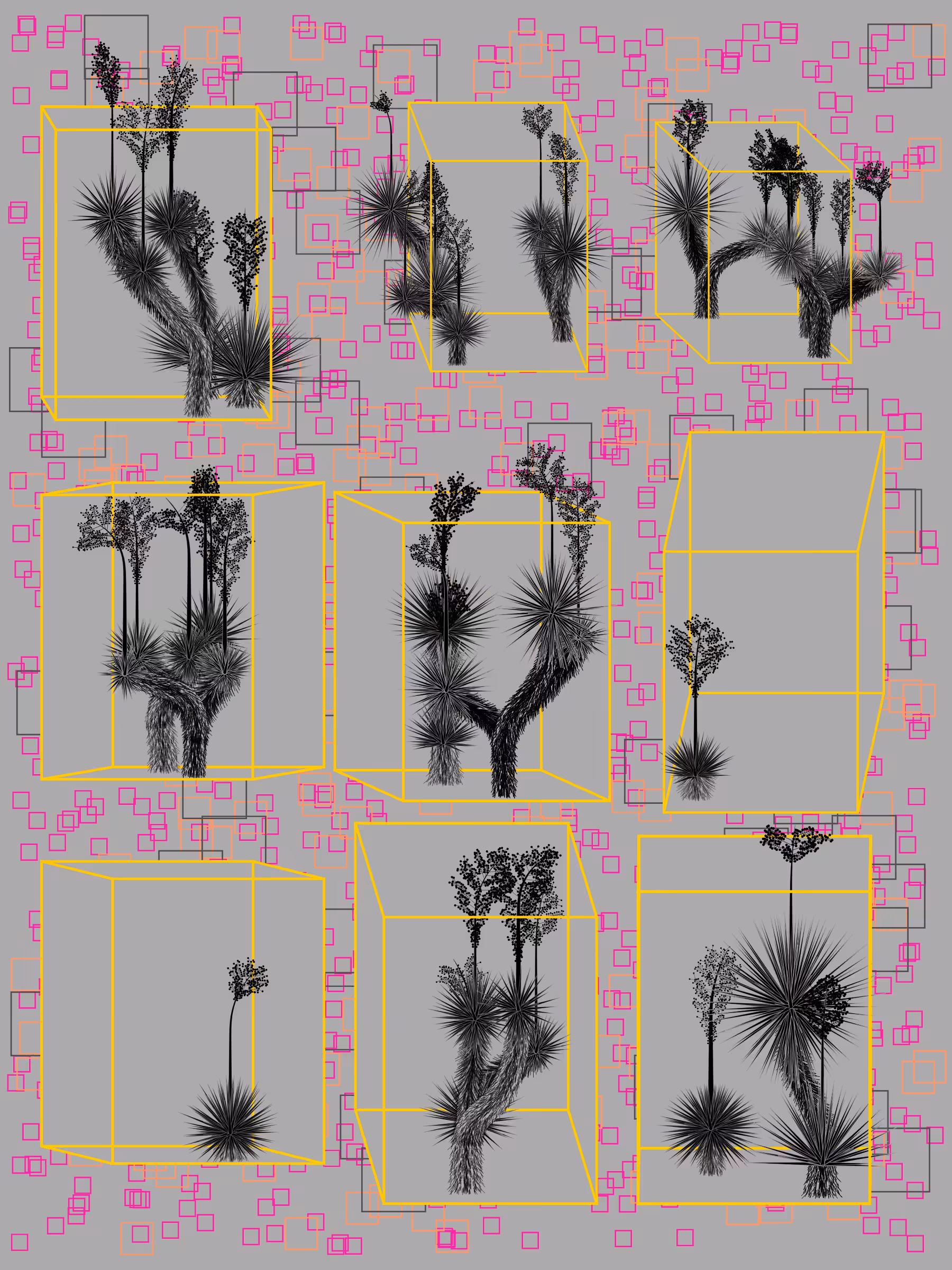 Marfa Yucca #254