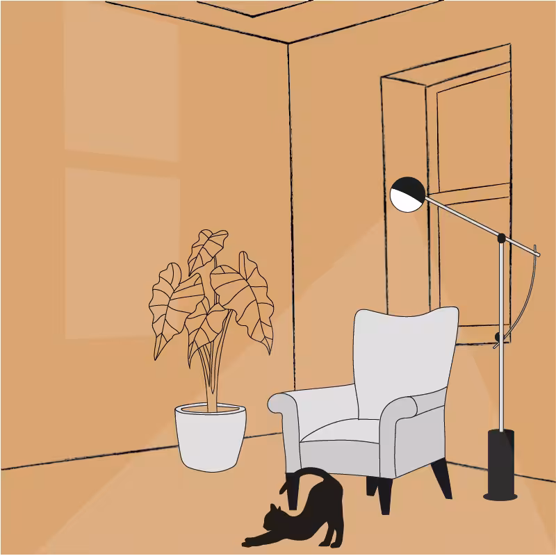 Inside the random window #49