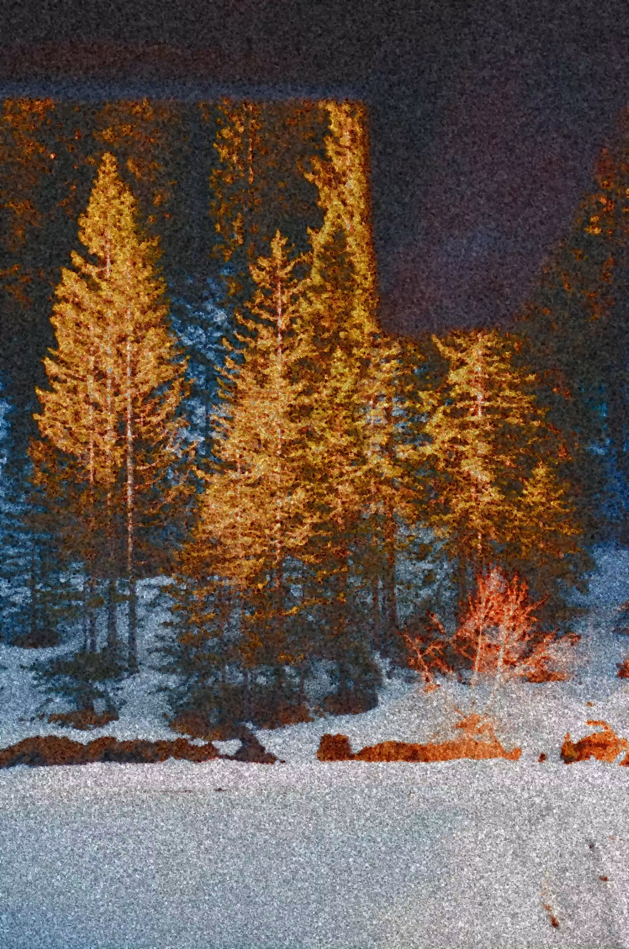 Hiding trees