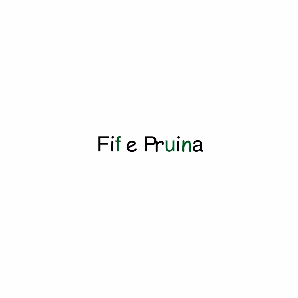 FP x FP #39