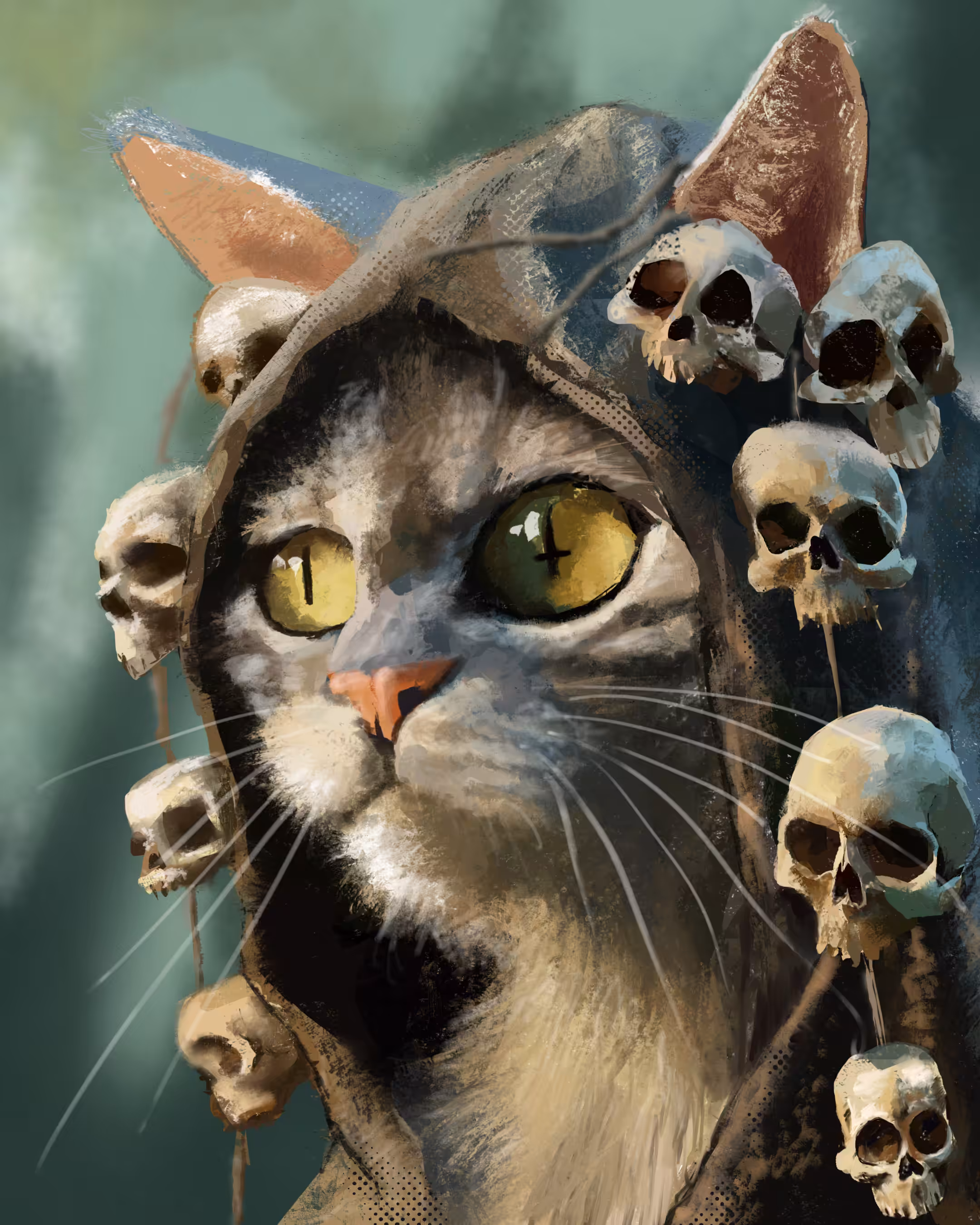 Druid Cat