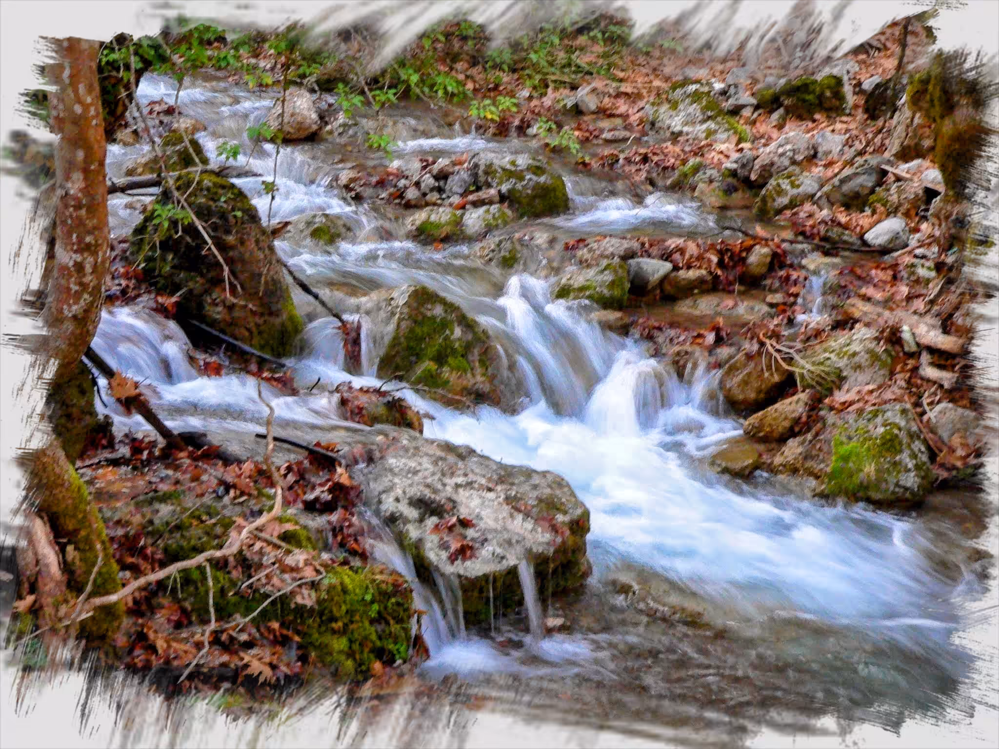 Nature #220728