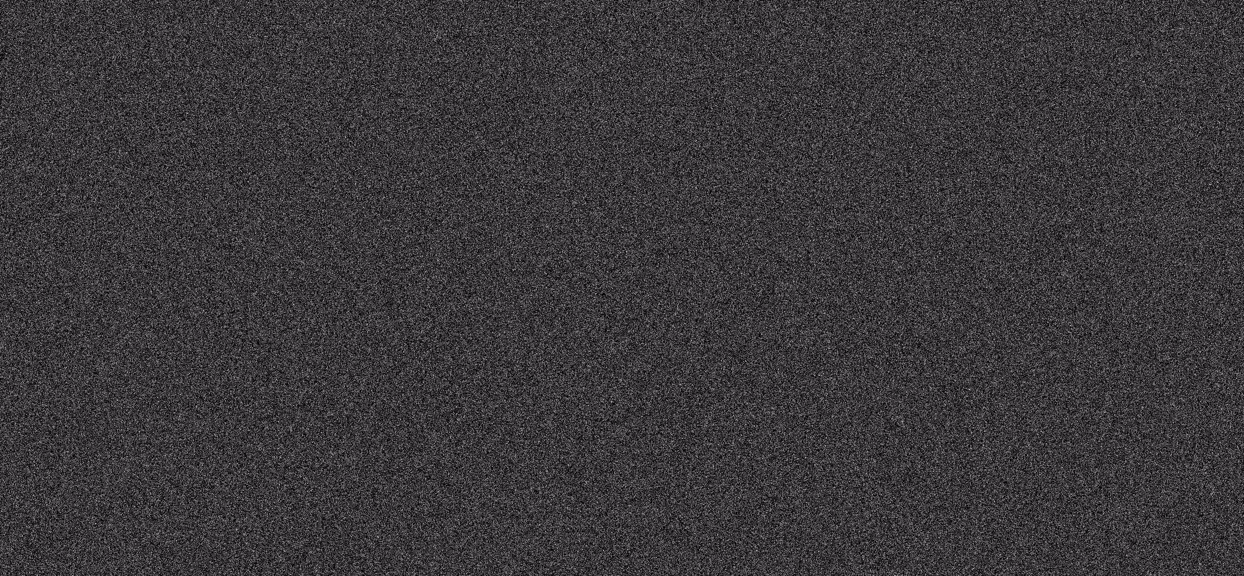 WE ARE NOISE