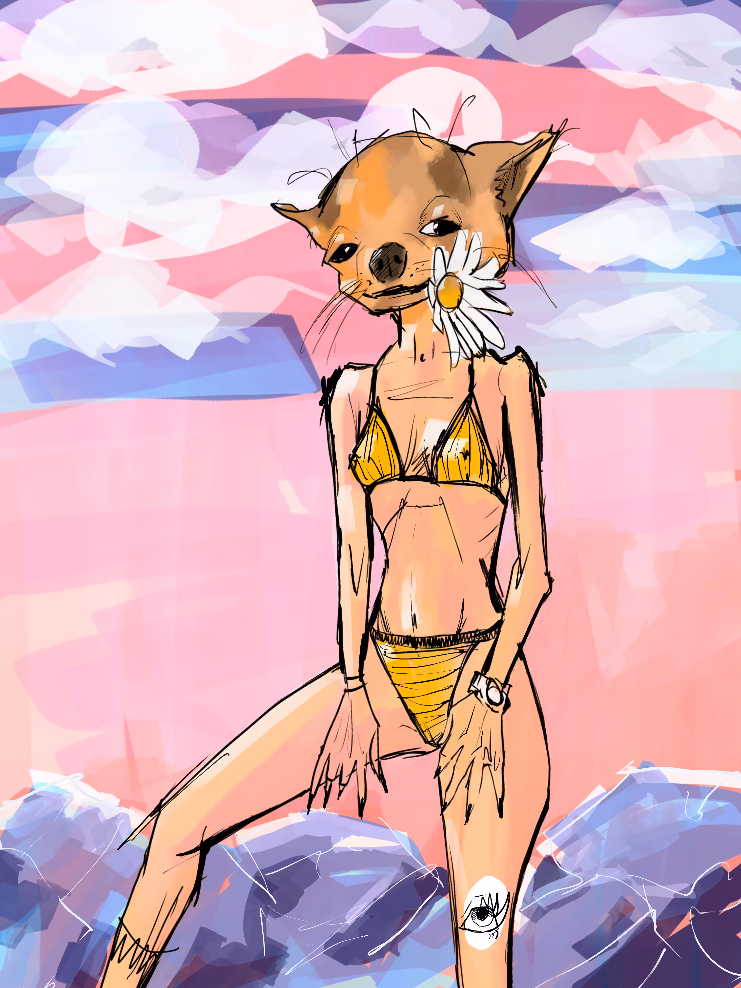 chiwawa
