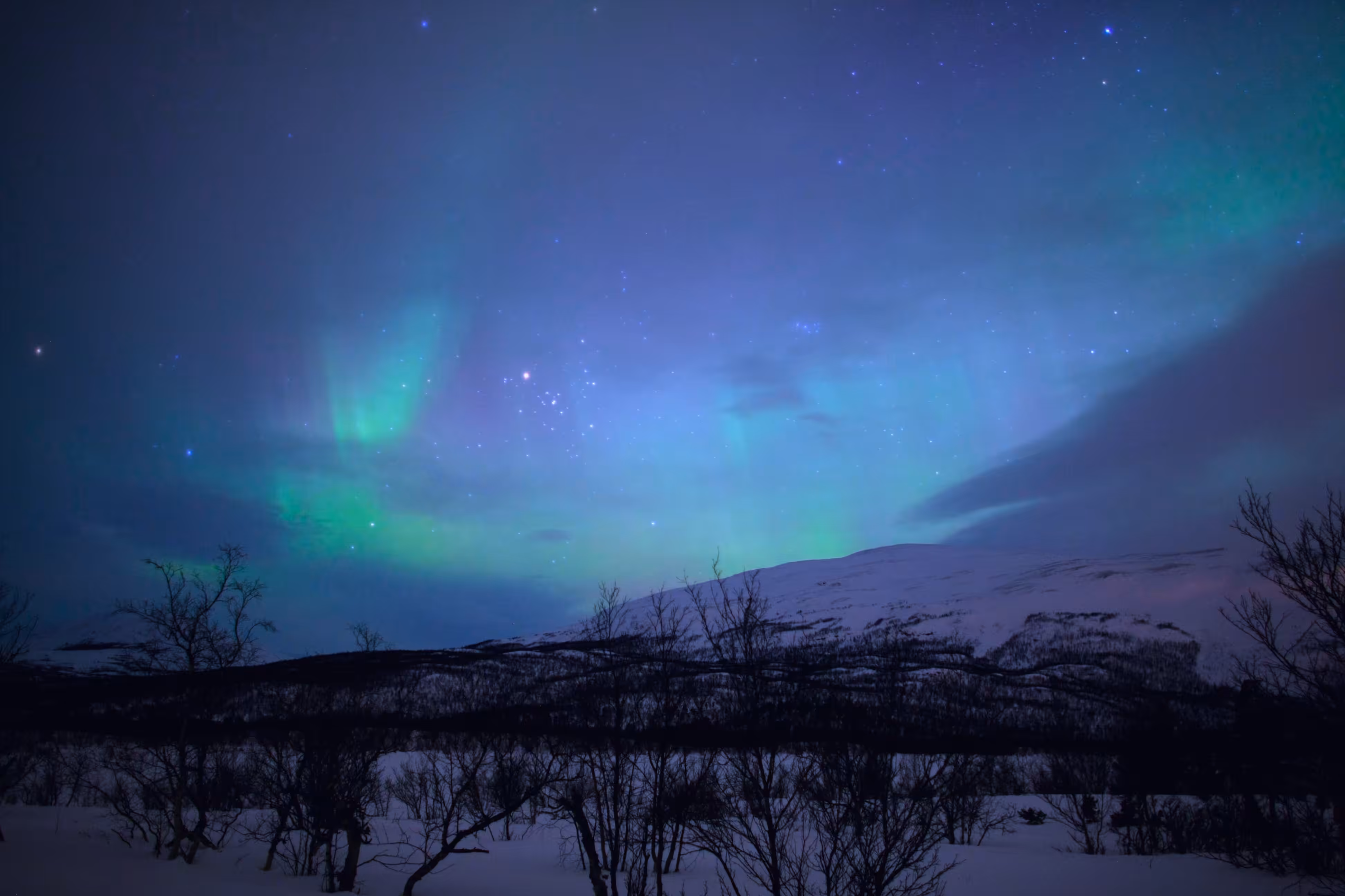 Abisko Nightlife