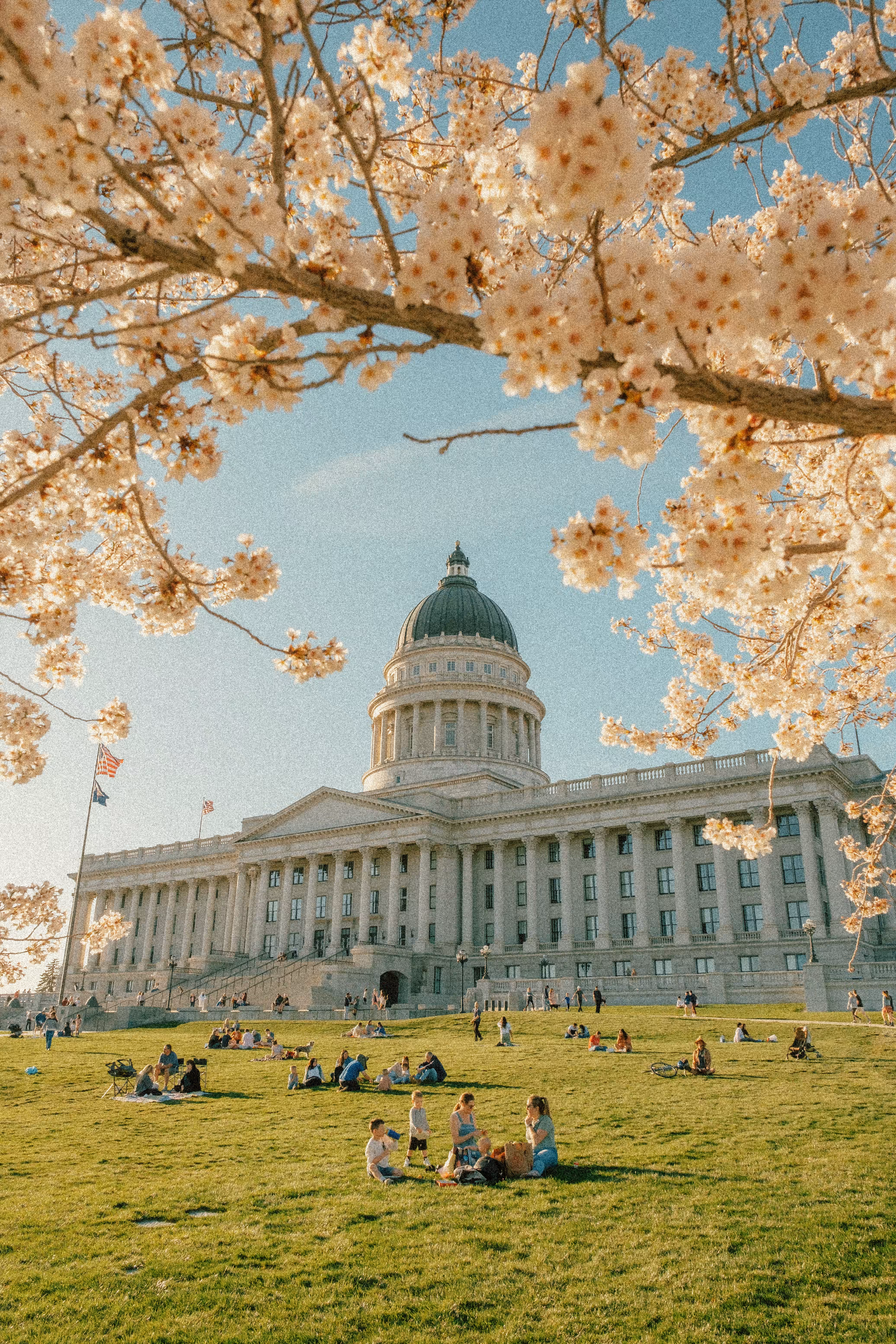 Capitol Bloom