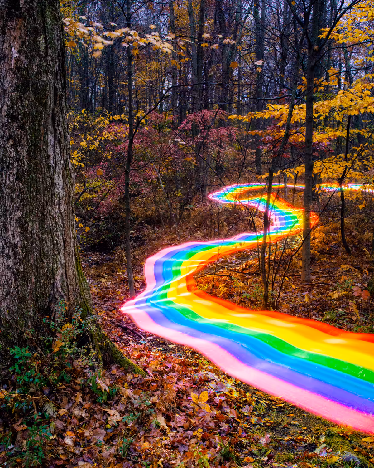 Rainbow Road - Autumn Trail