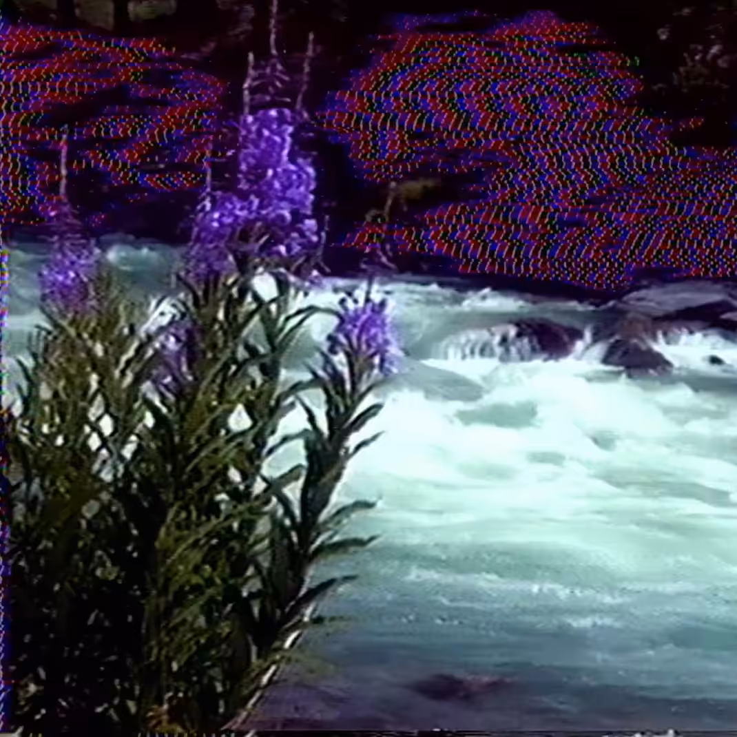 vhs dream 0208