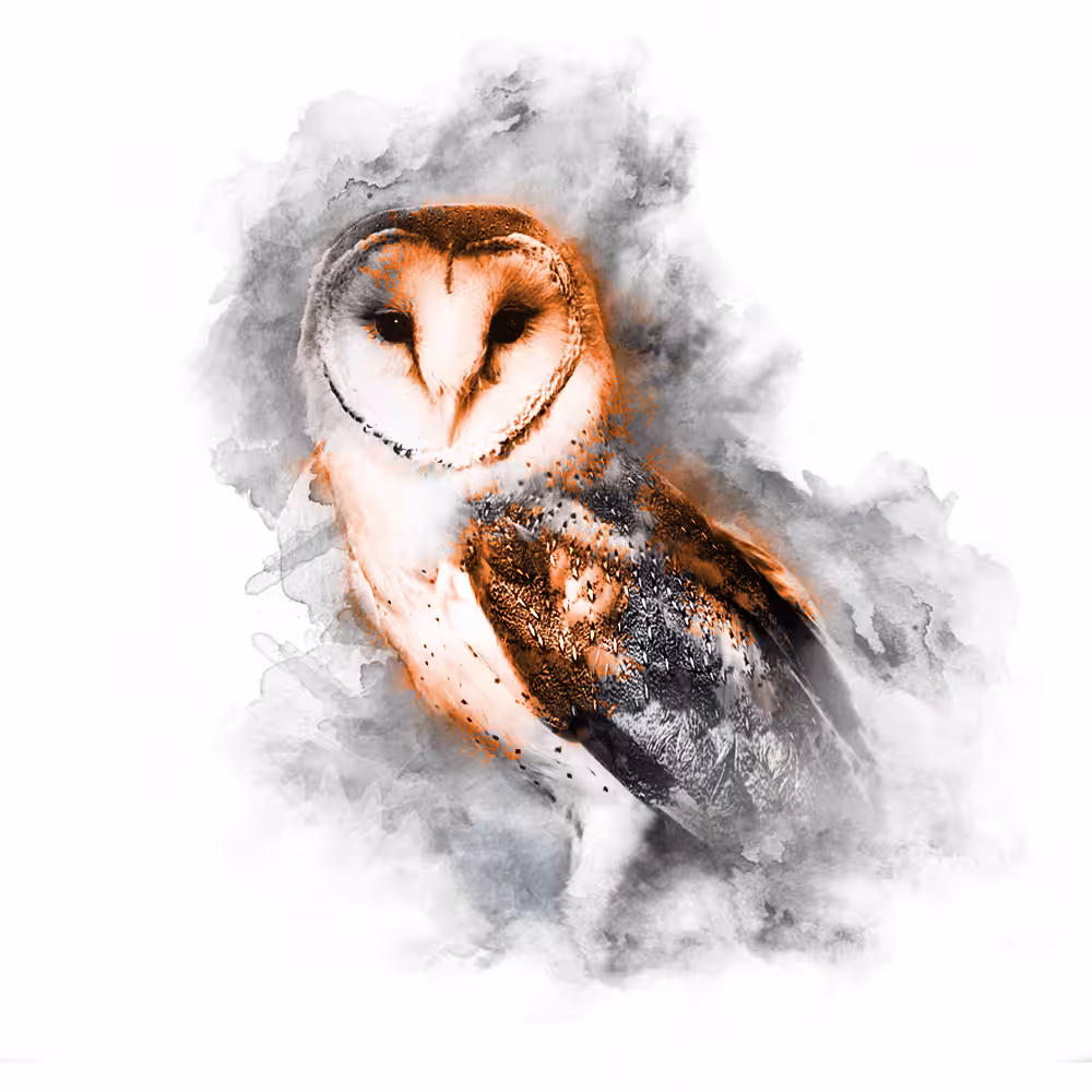 ORANGE SERIES - OWL