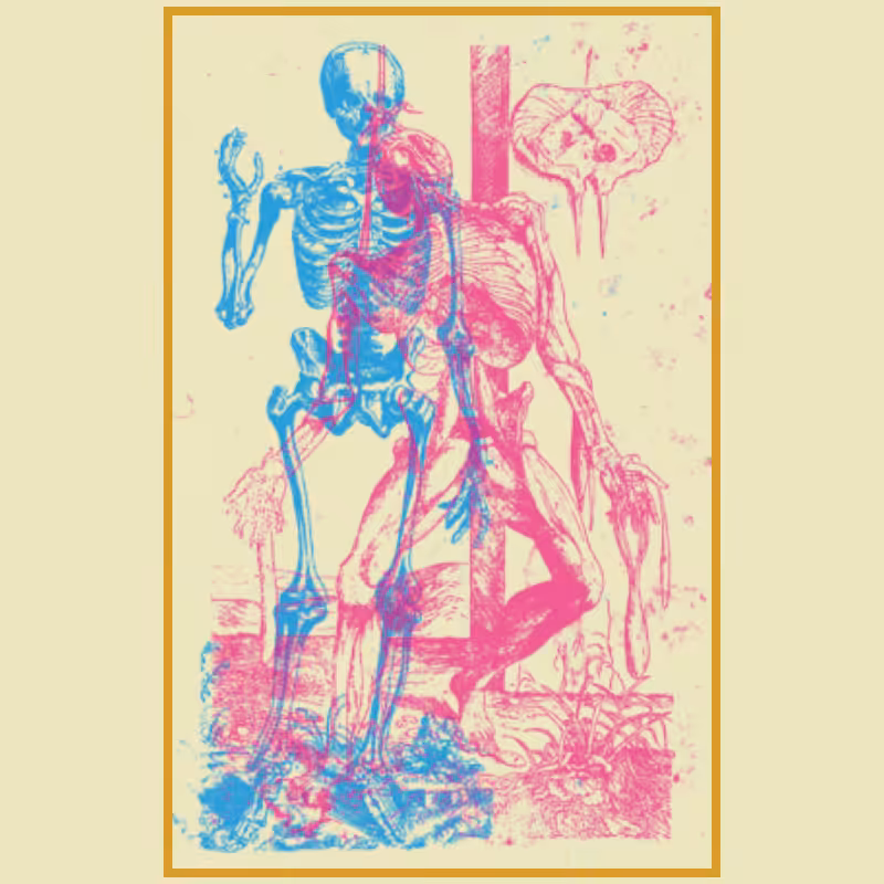 Anatomyk #4
