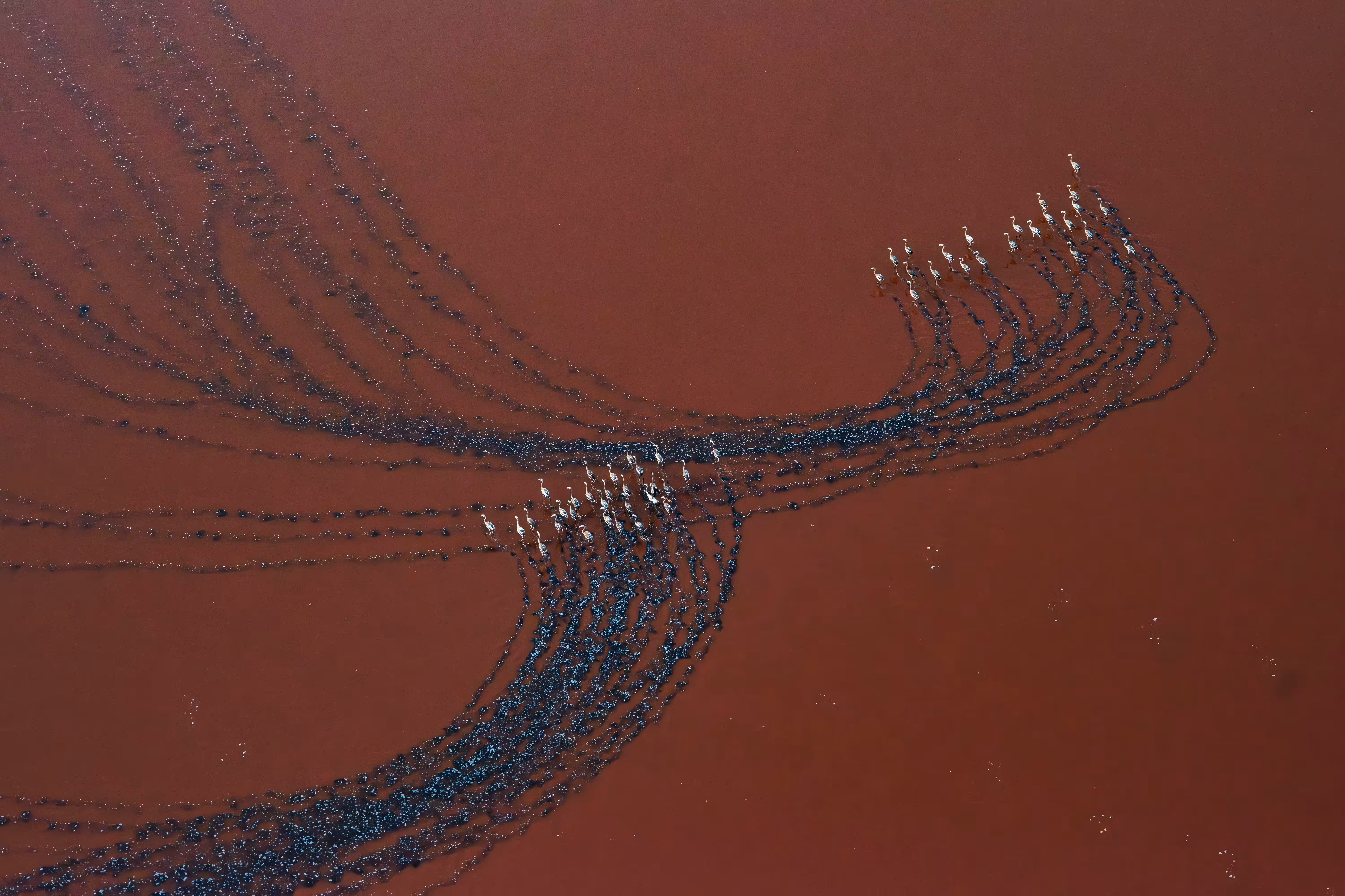 Red Lake