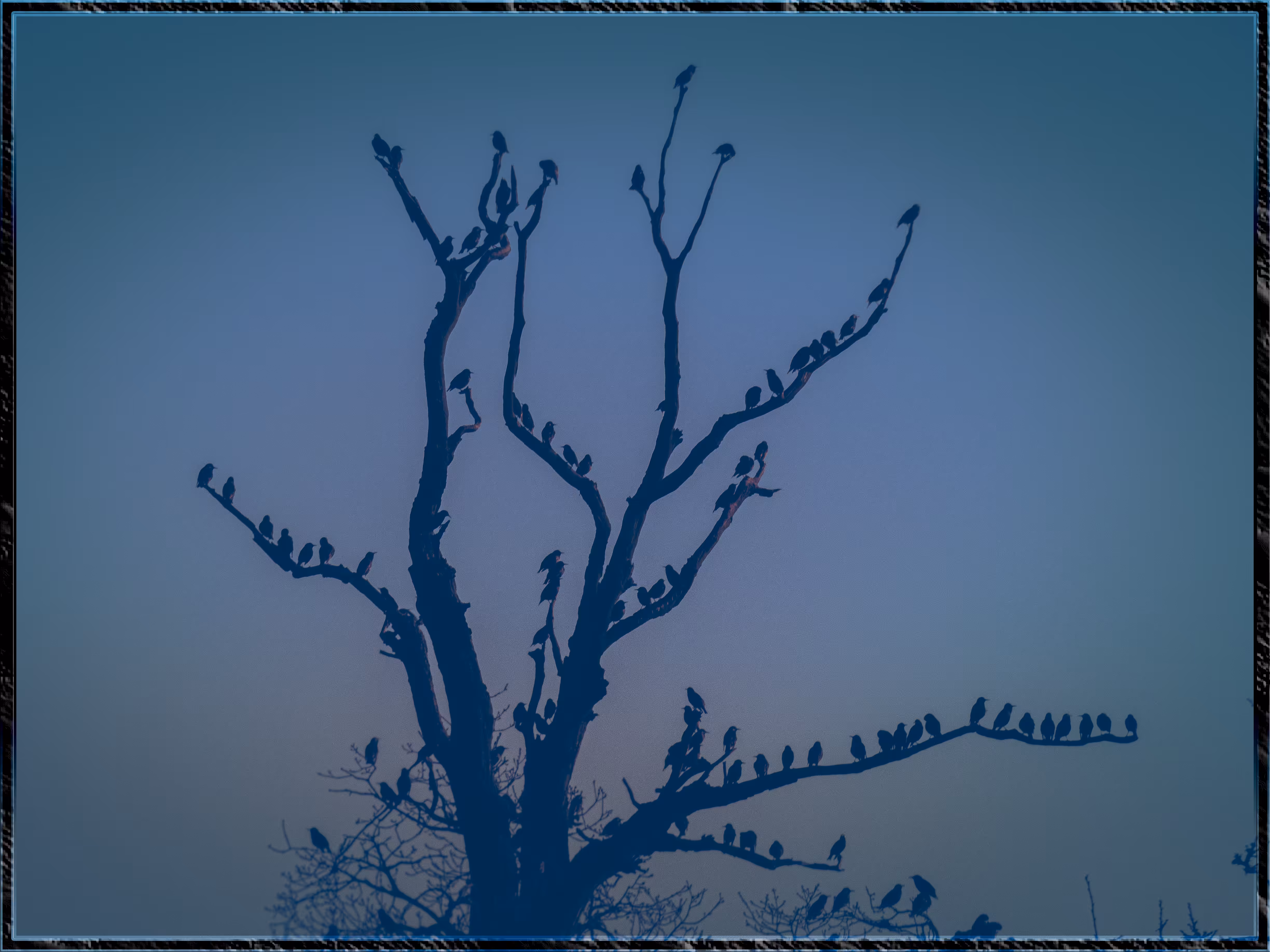 Until Dusk
