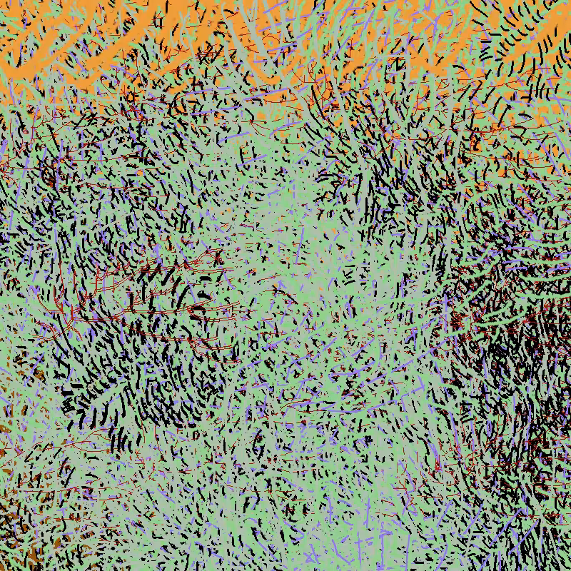 a bird worked on my painting #32