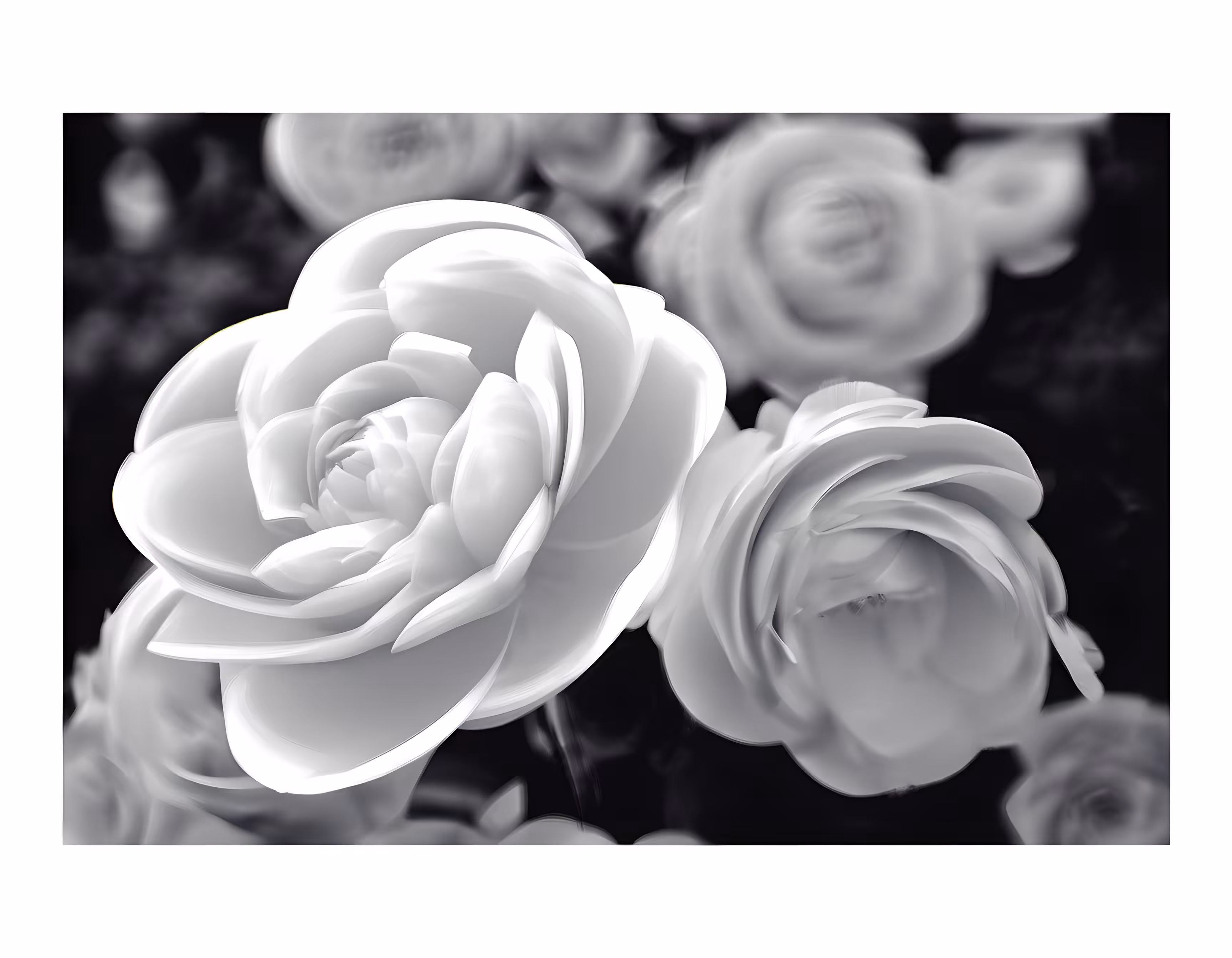 SYNTHETIC PHOTOGRAPHY RAW #36