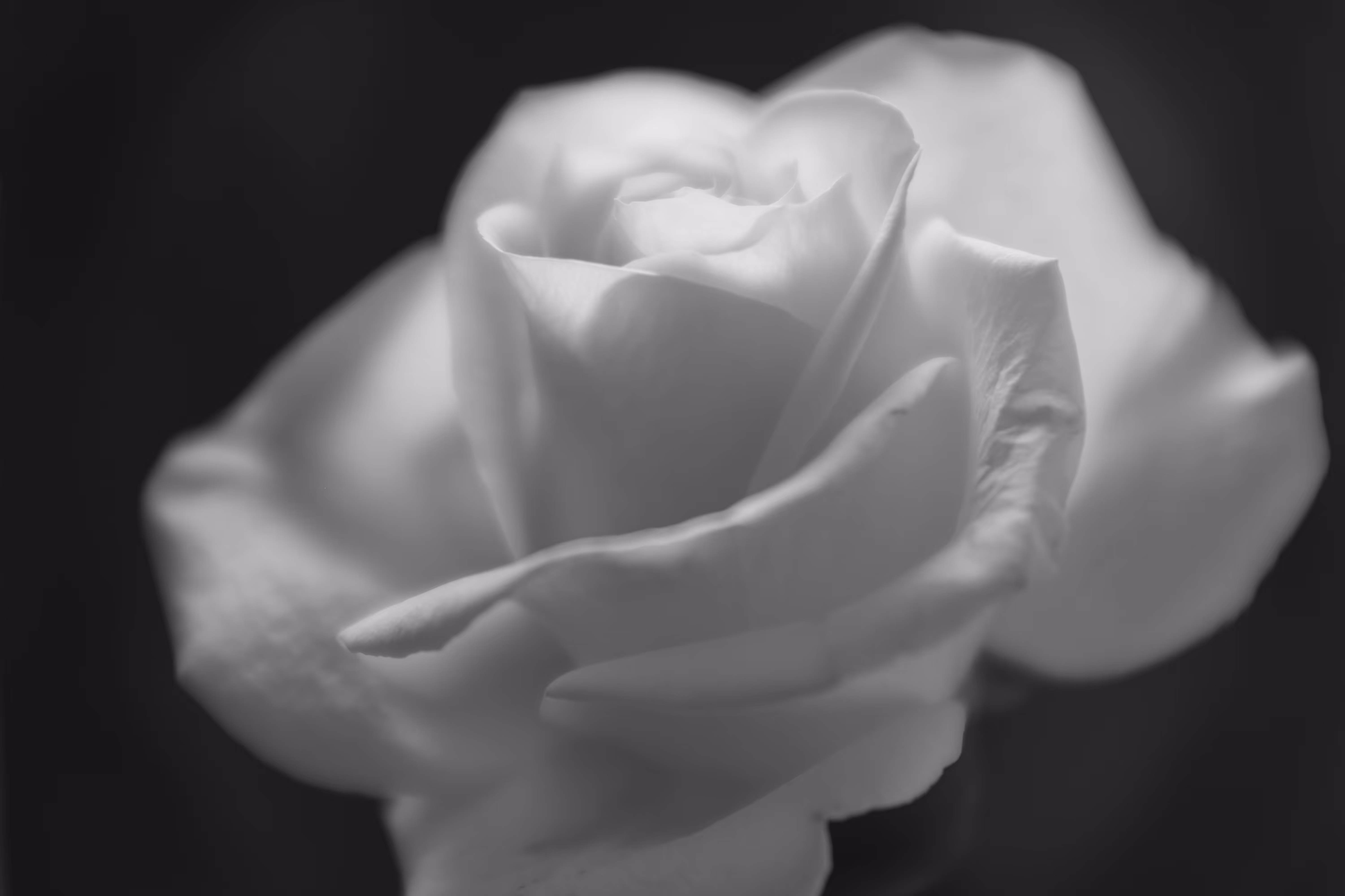 LUX No 9