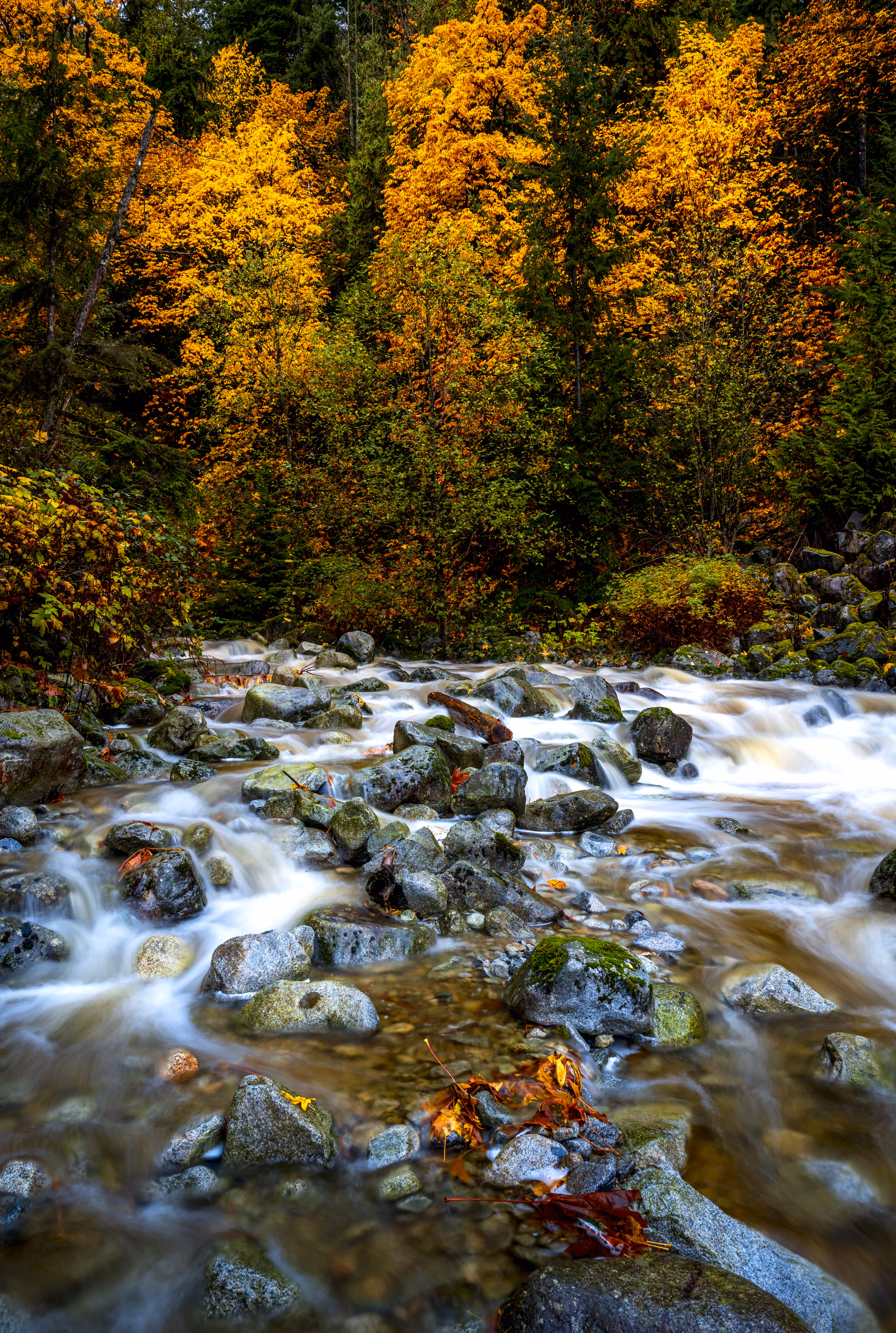 Fall Creek