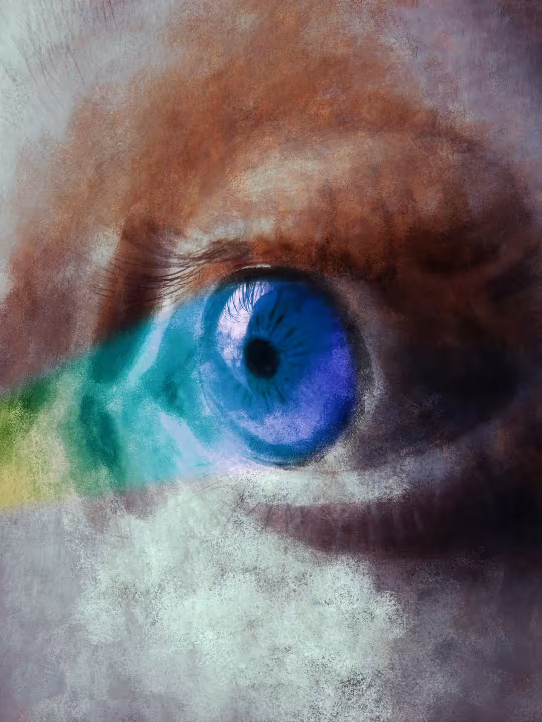 The eye